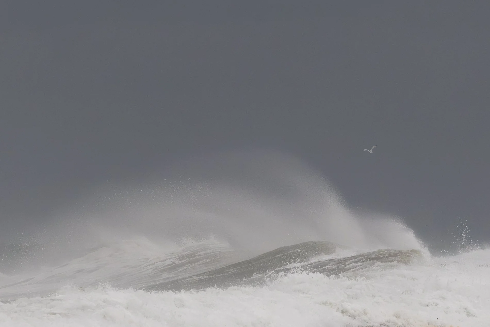 Ocean waves crashing with a flying seagull in a cloudy sky.