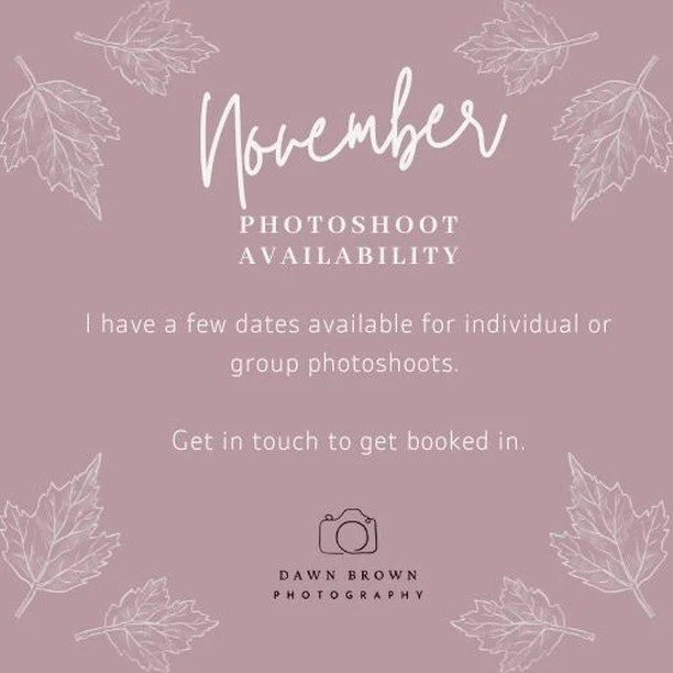 I have limited availability for November and the beginning of December. Suitable for individual or group bookings if you would like to share the cost with your yard or friends. Get in touch to find out more.