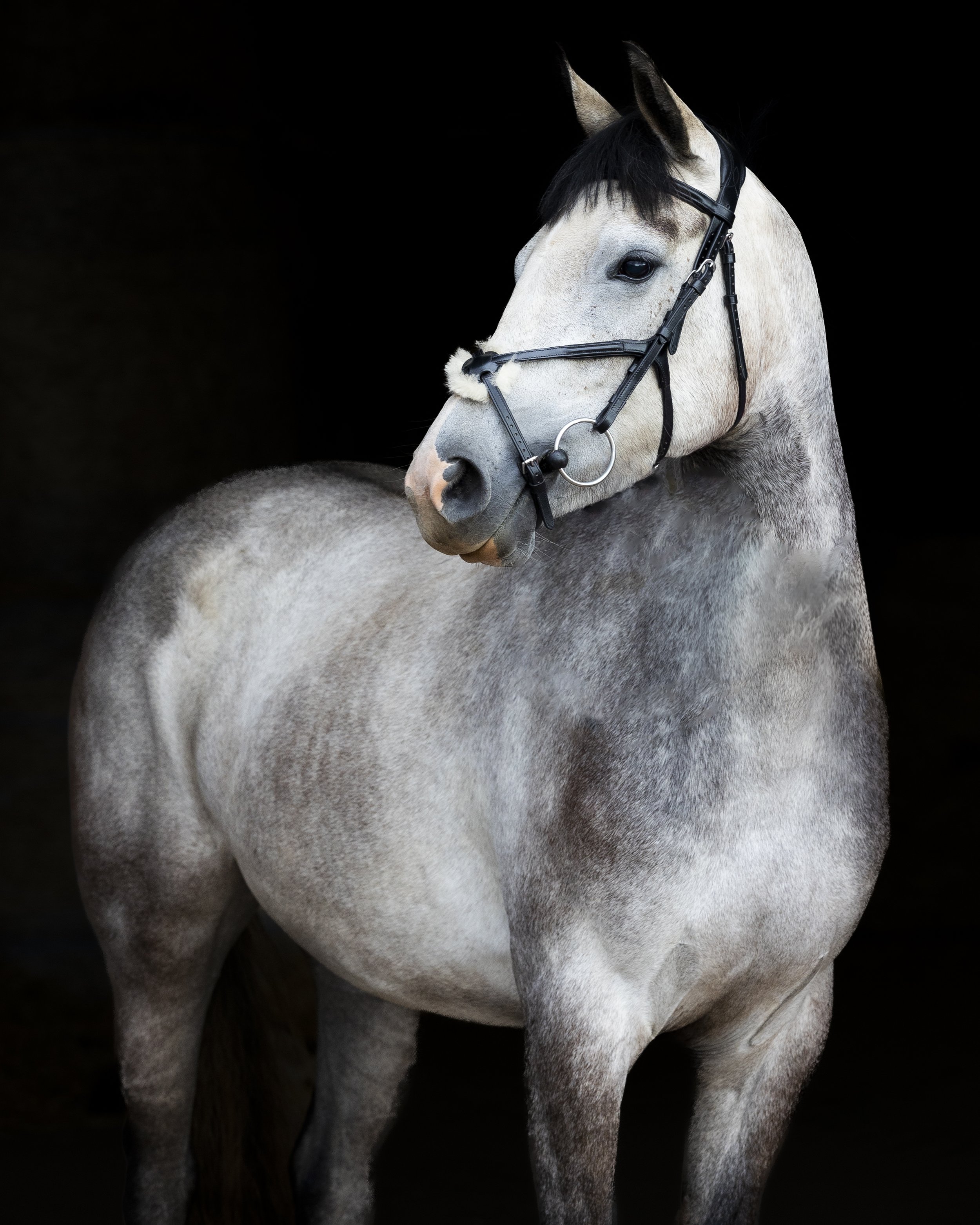Chloe-51.jpg