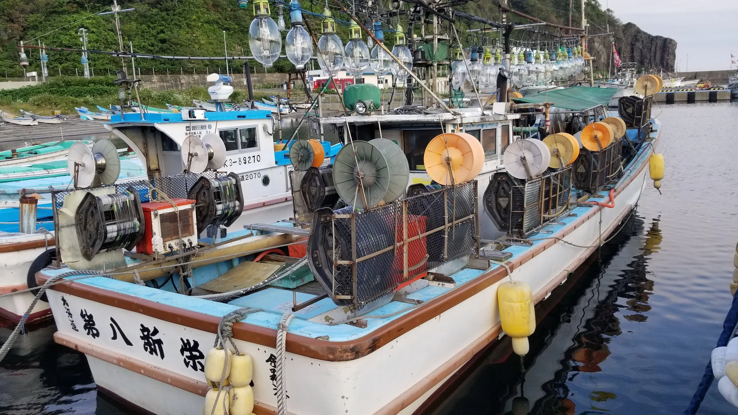 SQUID FISHING Magister Squid Alaska