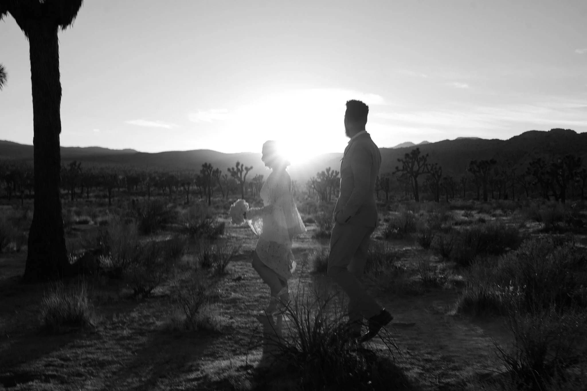 an intimate wedding for jamie + michael in joshua tree, california
