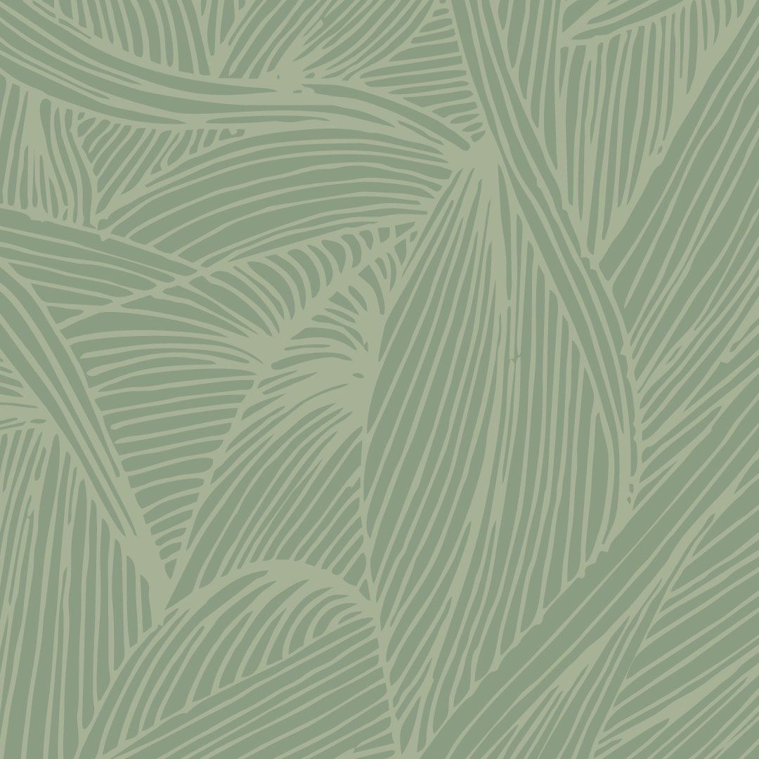 Pattern of light green leaves with dark green outlines.