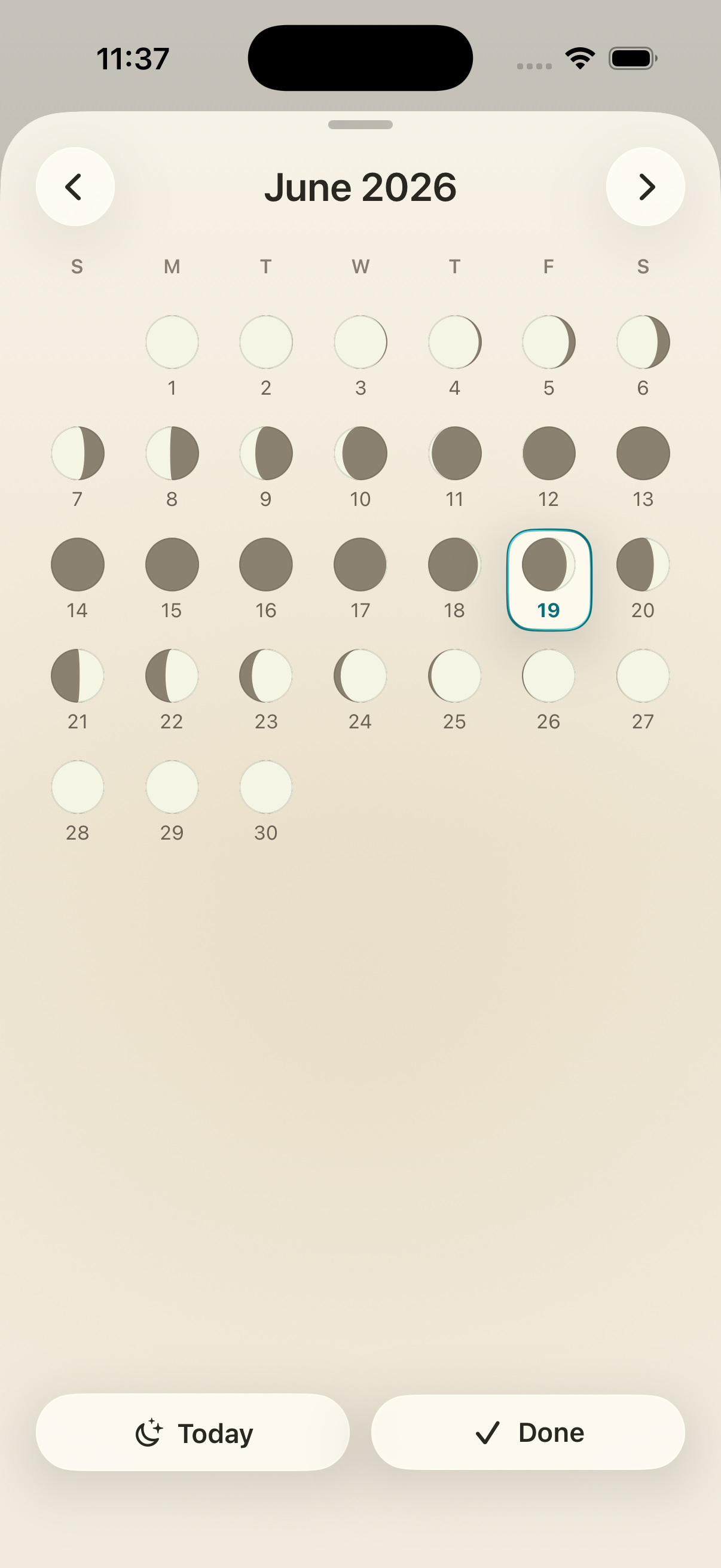 m8_light_calendar.png