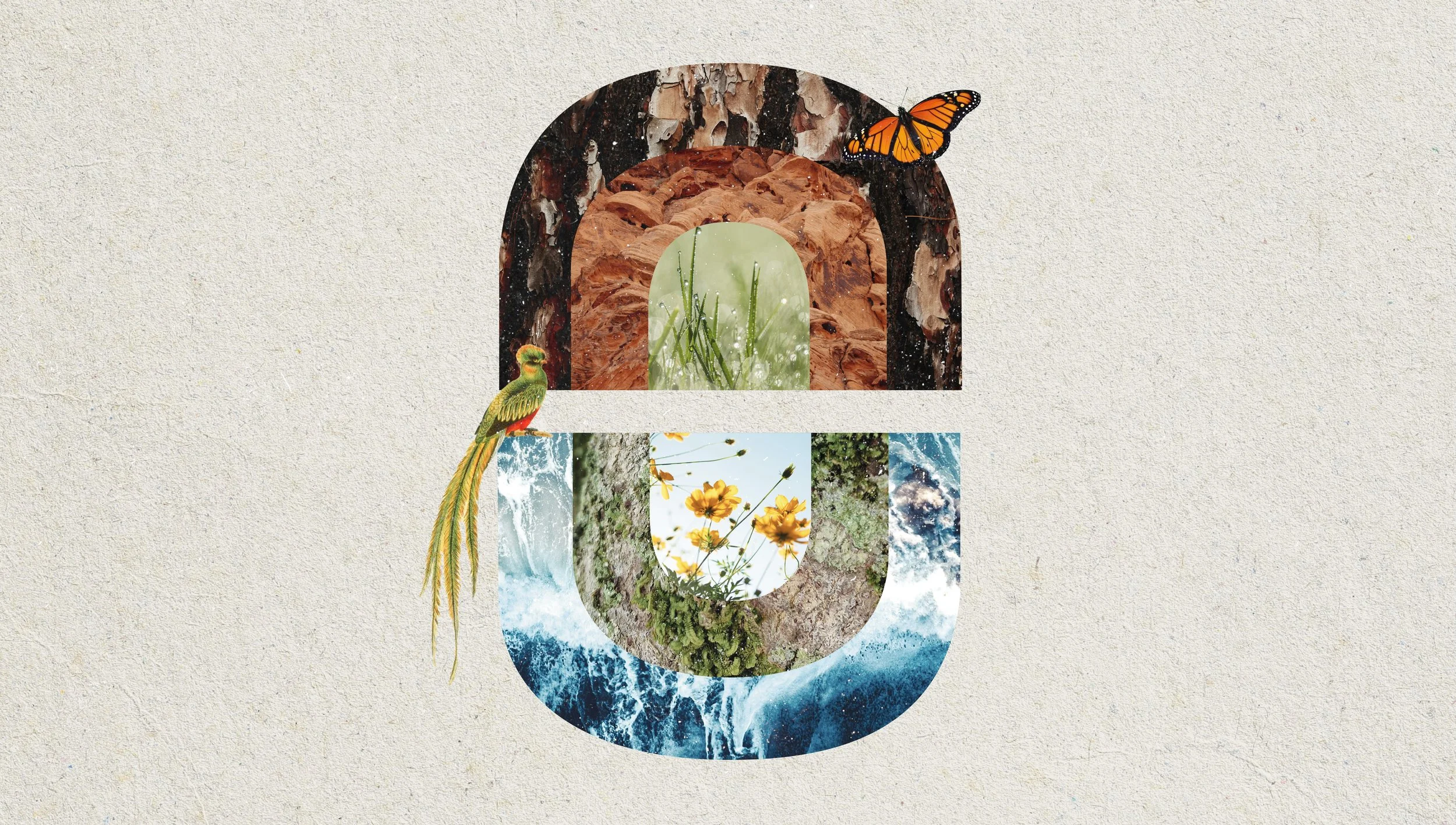 Havas Press Releases