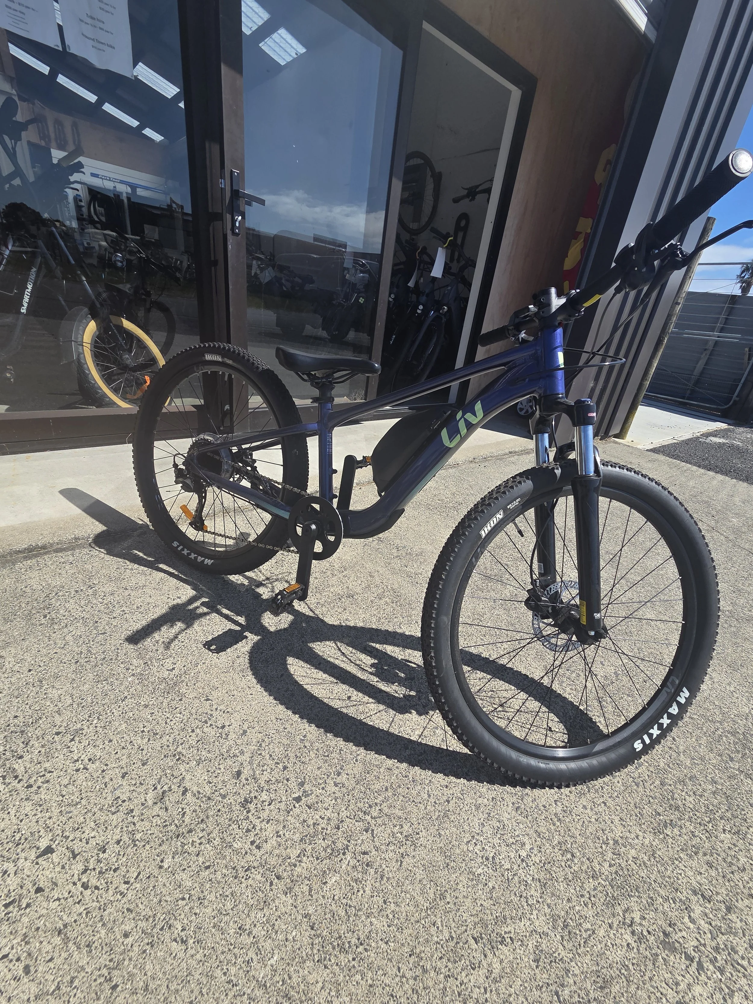 24 inch Giant E Bike