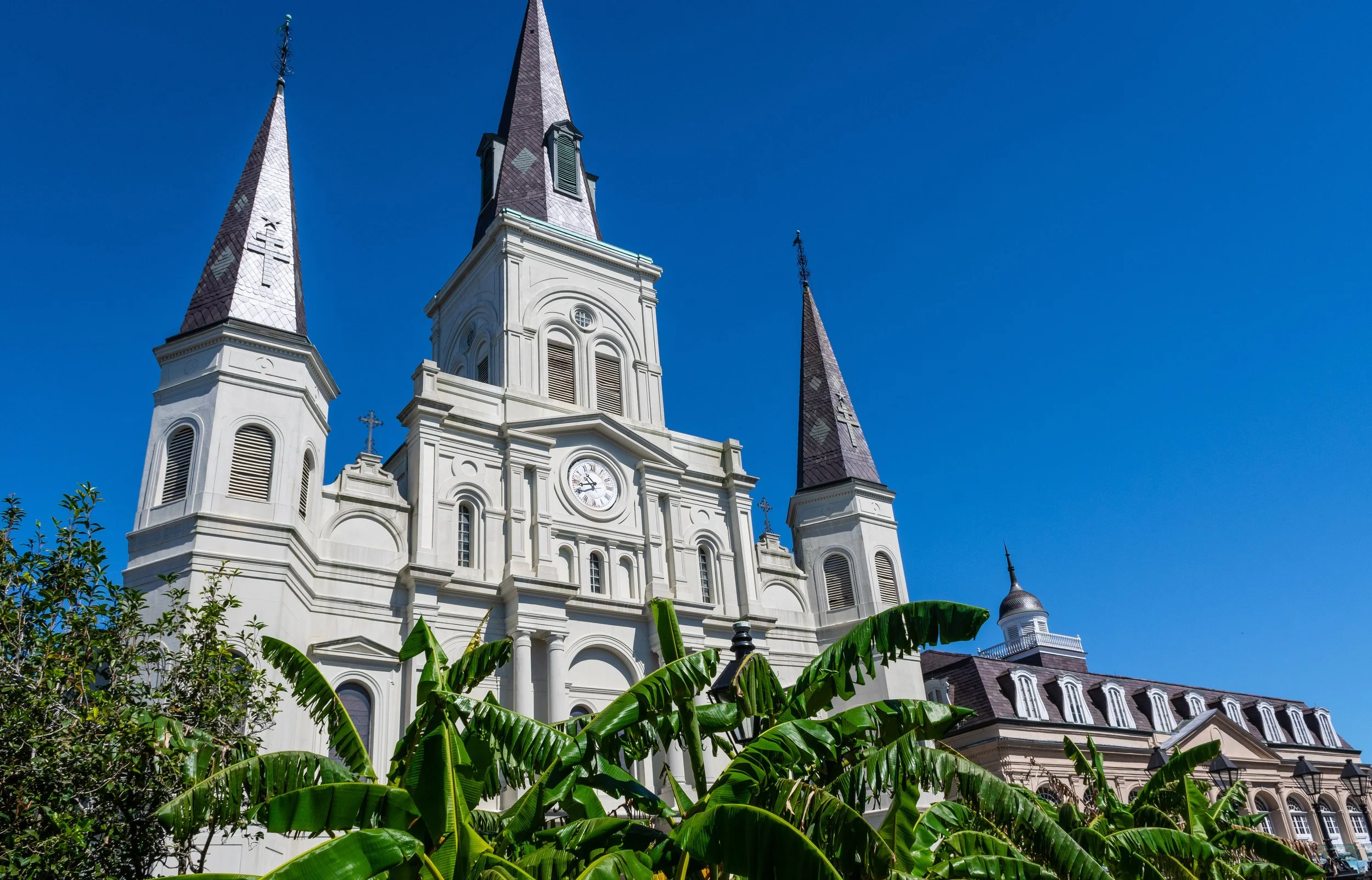 Lafayette Square in New Orleans.
