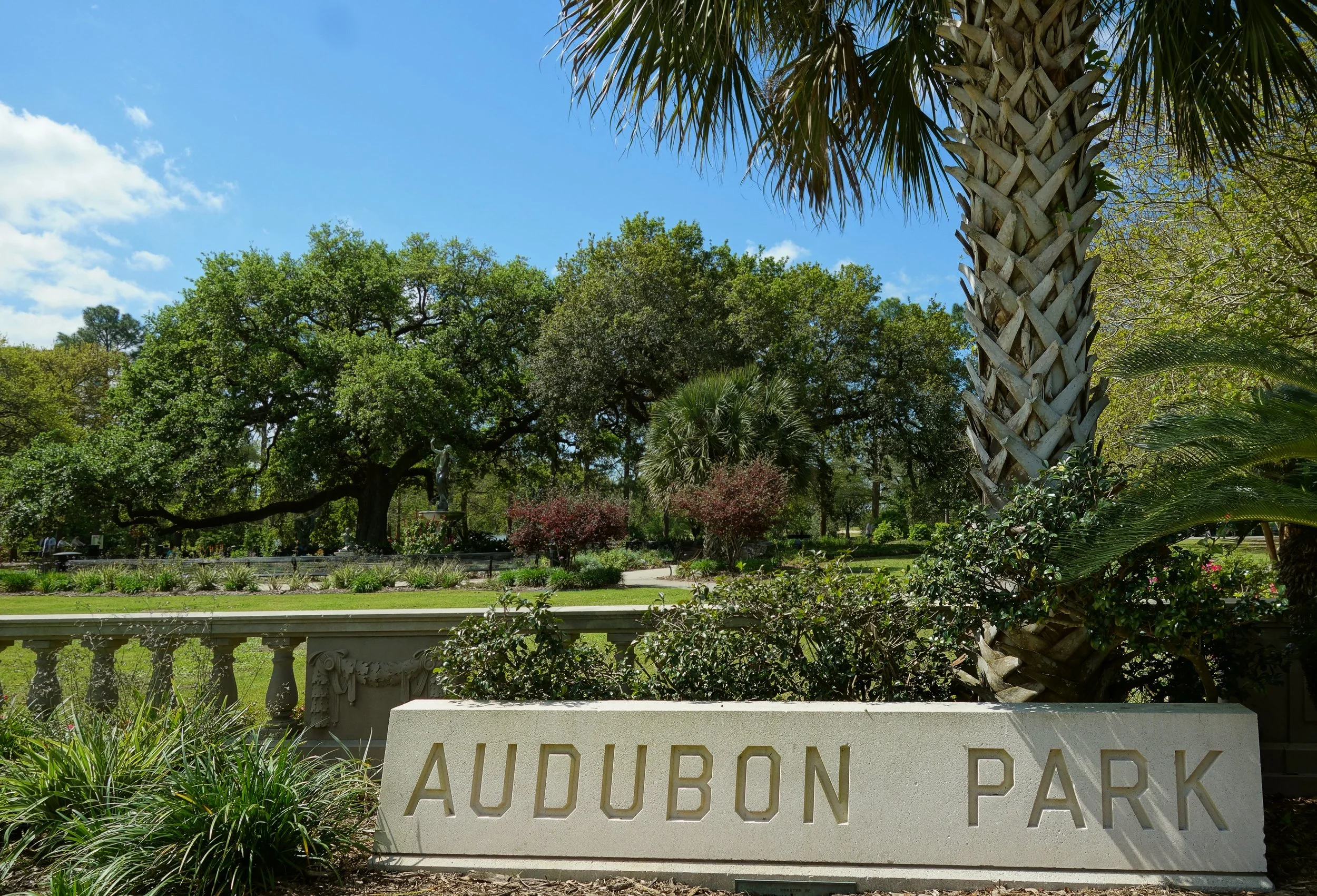 View of Audubon Park with lush trees, a palm tree in the foreground, a blue sky, and a concrete sign that reads 'AUDUBON PARK' in the bottom foreground.