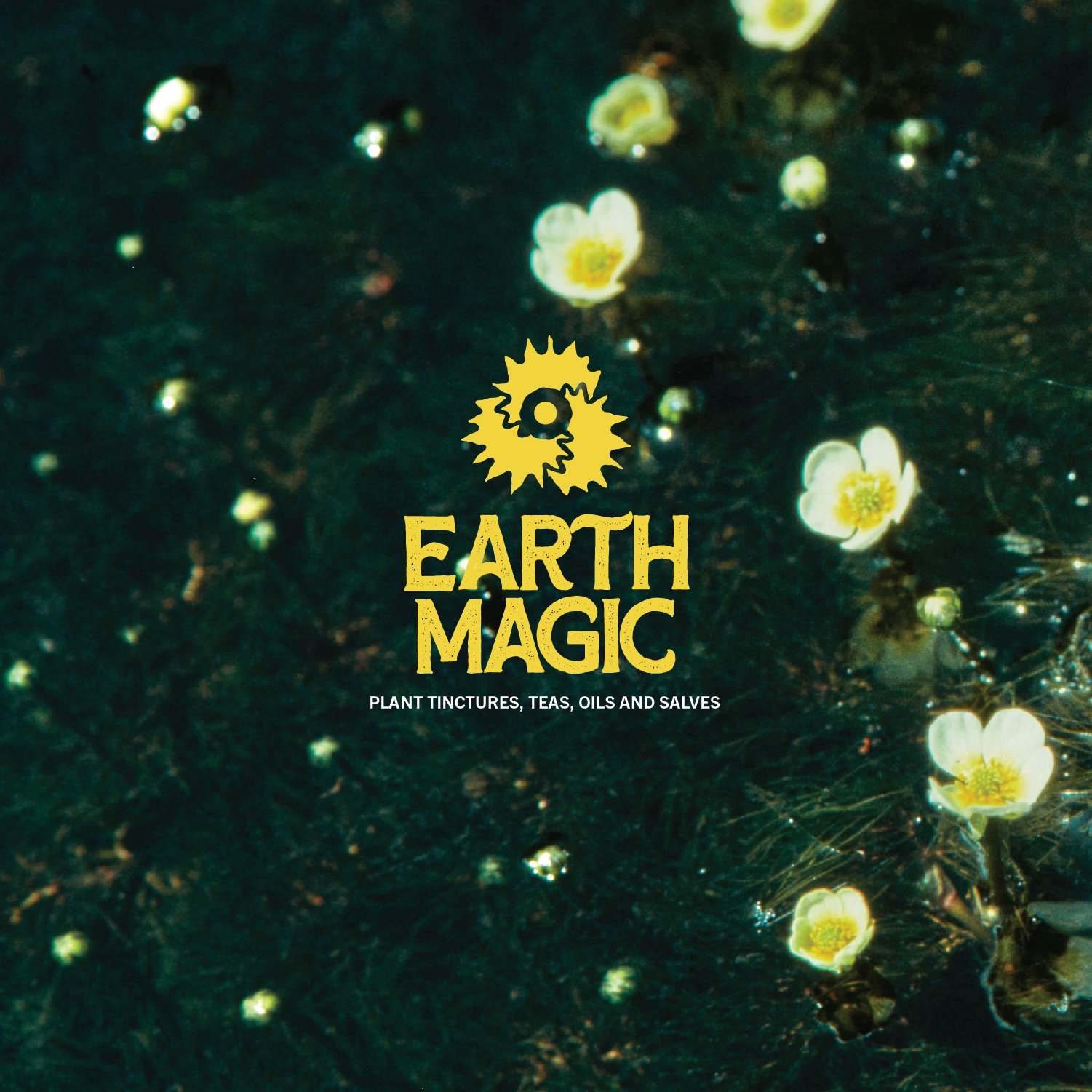 0923-eath-magic-logotrails-Recovered-04.jpeg