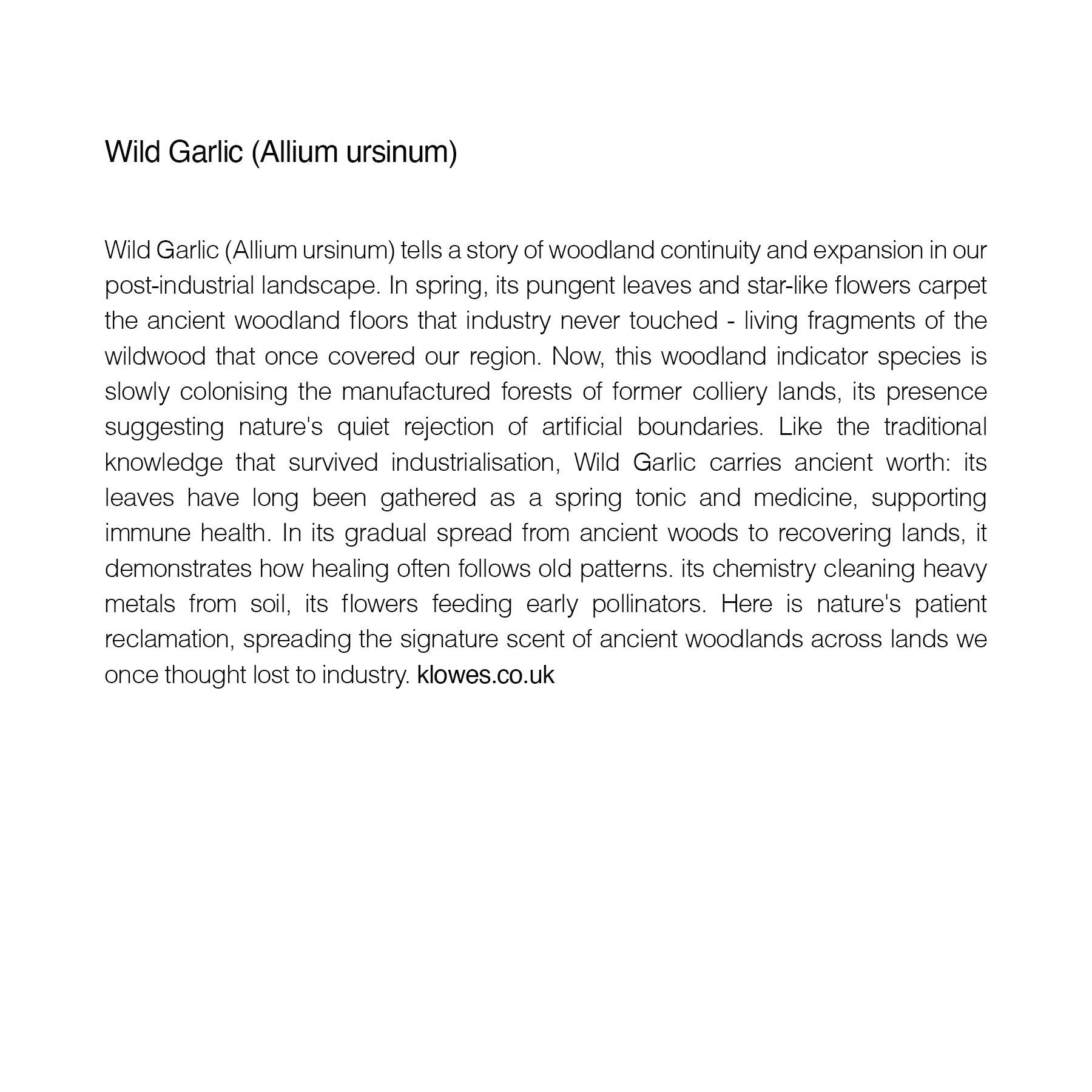 Back of Card - Alium.png