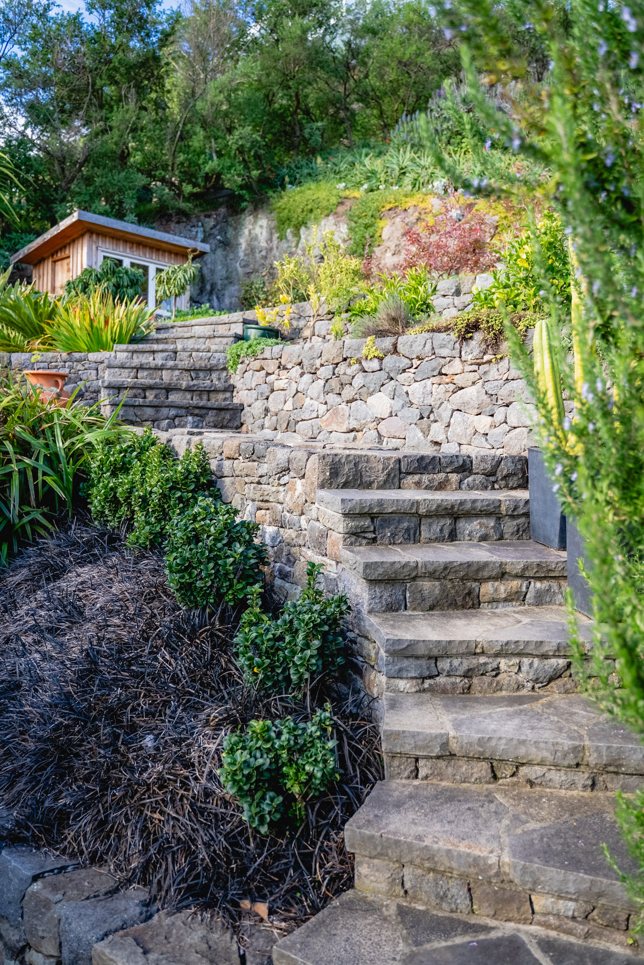 TERRAFORMA APRIL '25-56.jpg
