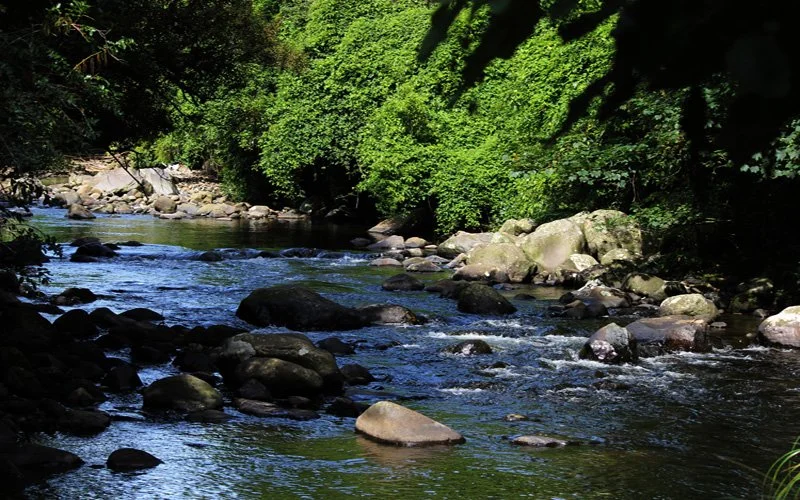 Website - river.jpg