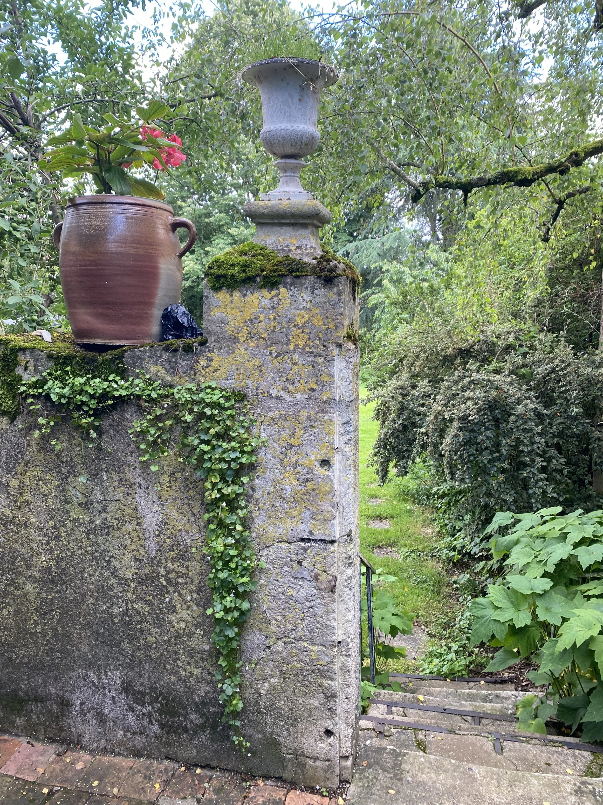 IMG_9042.jpeg