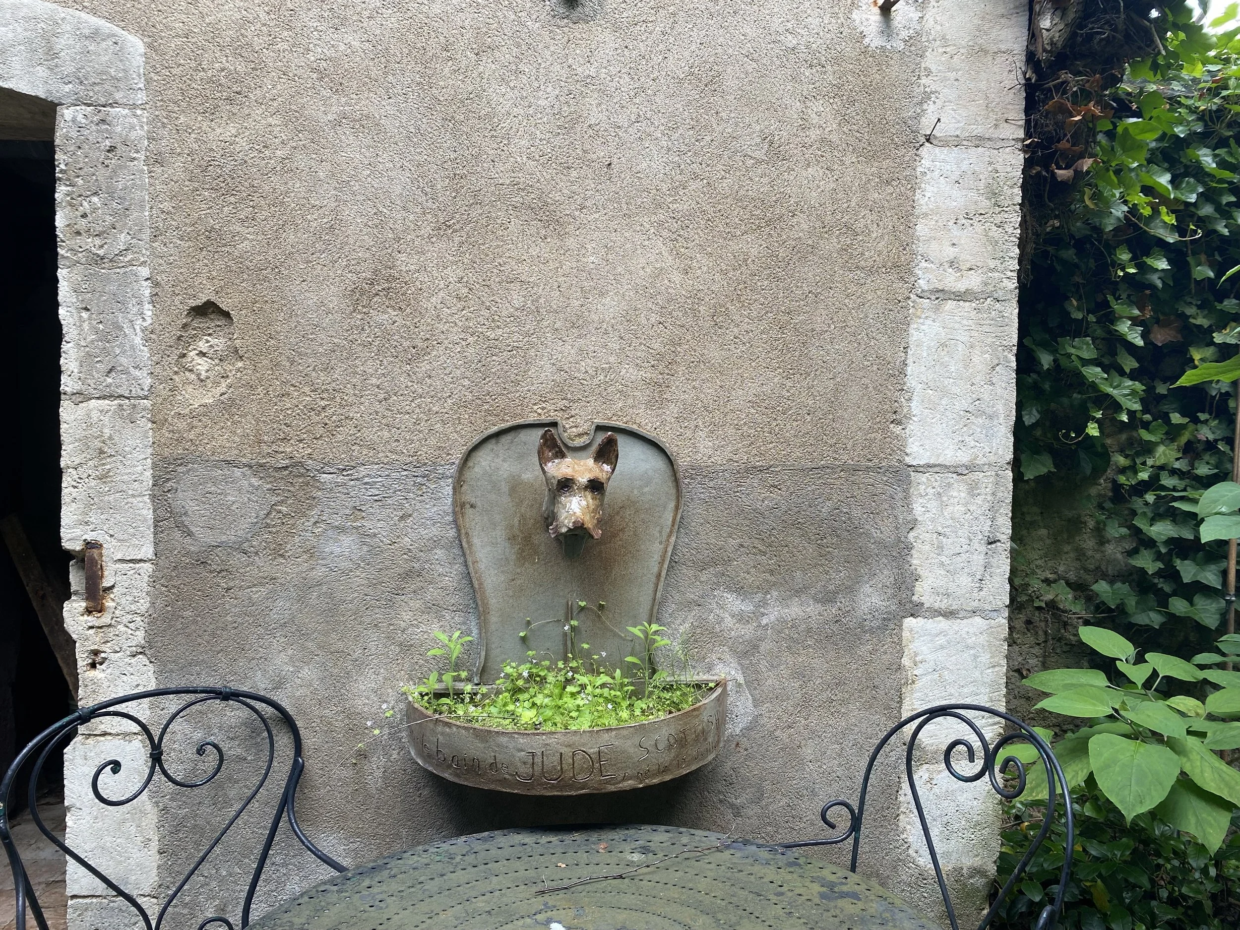 IMG_9039.jpeg