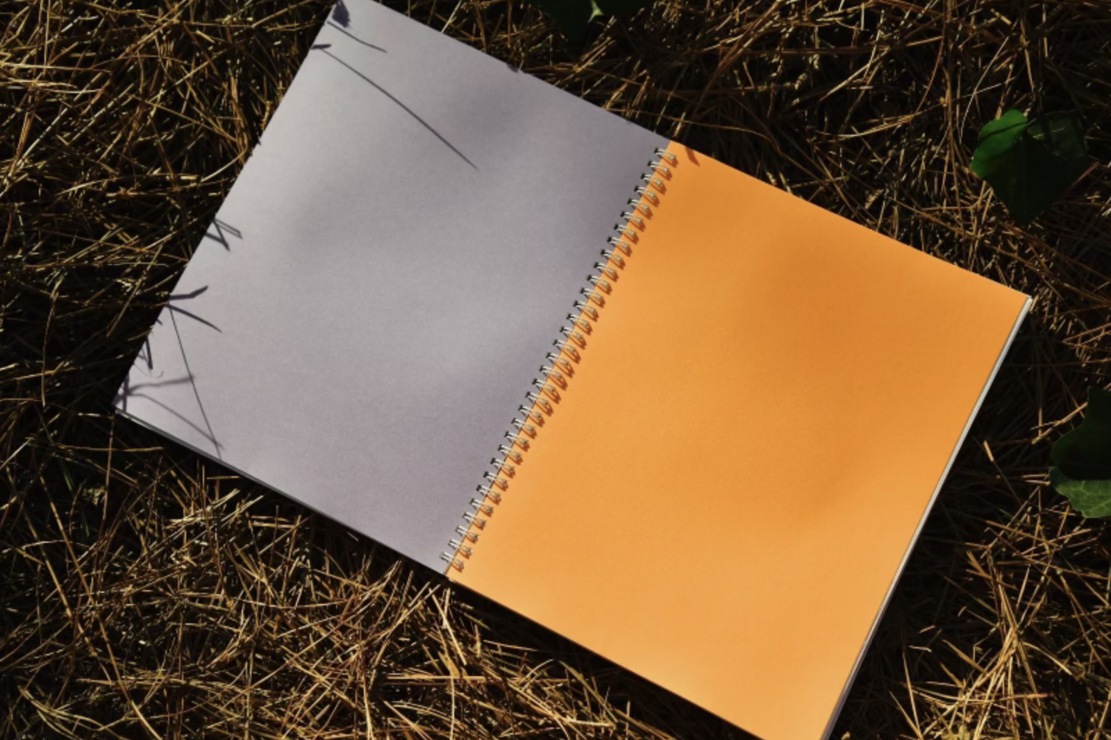 Screenshot 2024-02-25 at 11.55.32 AM.png