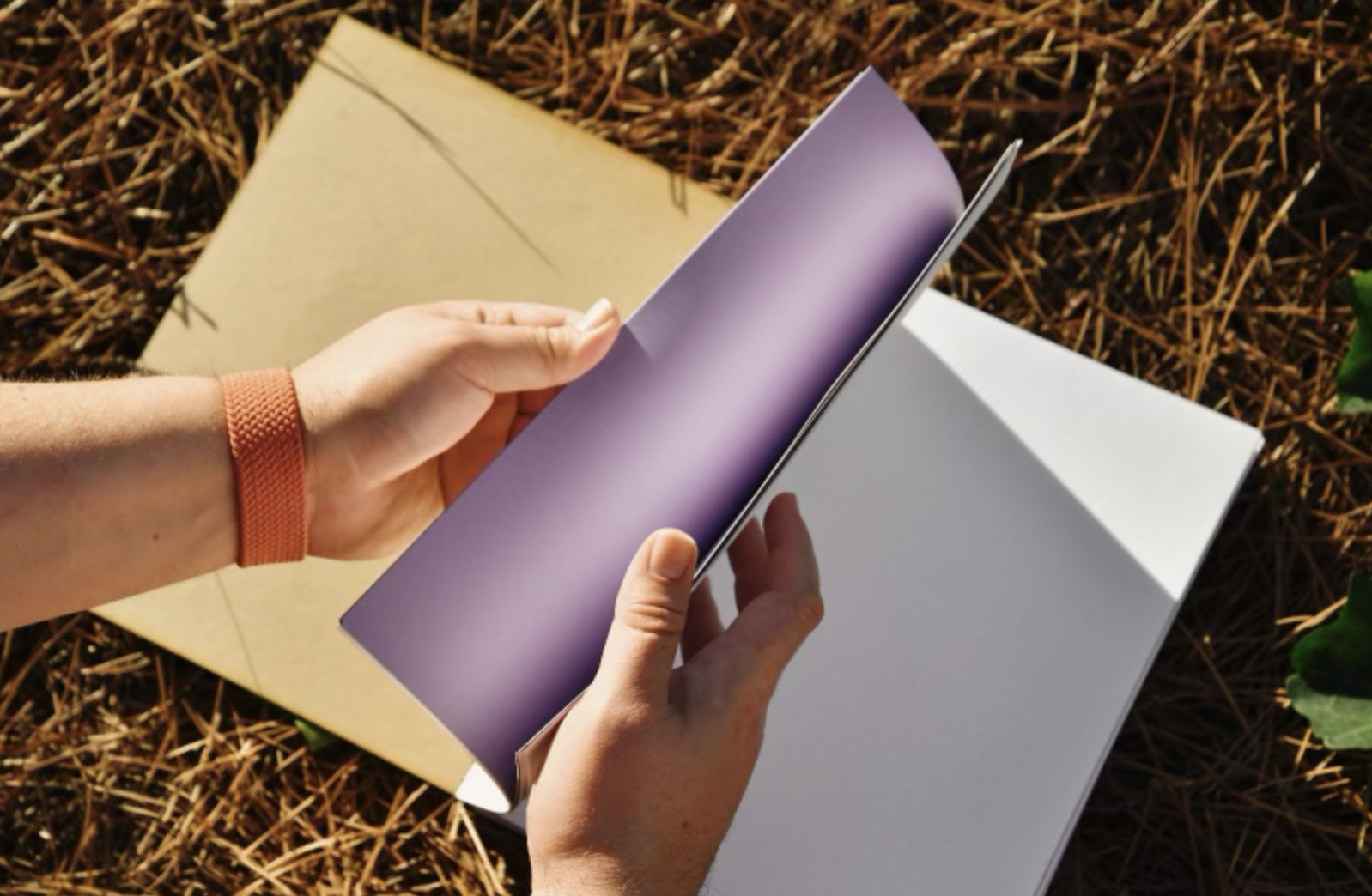 Screenshot 2024-02-25 at 11.56.02 AM.png