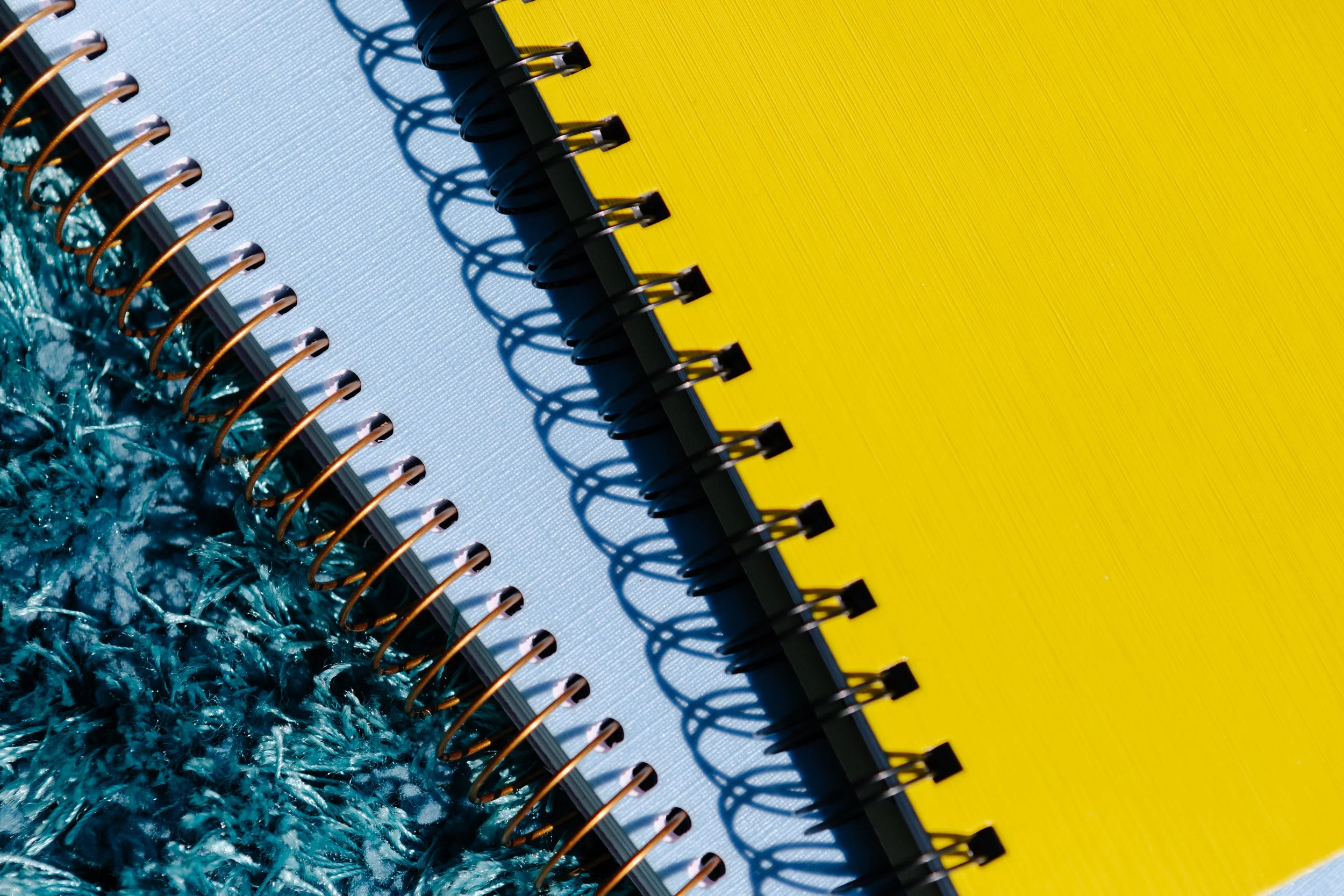 Jessica Rizo_Mexico_201124_2150.jpg