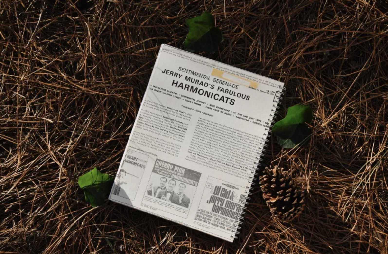 Screenshot 2024-02-25 at 11.54.49 AM.png