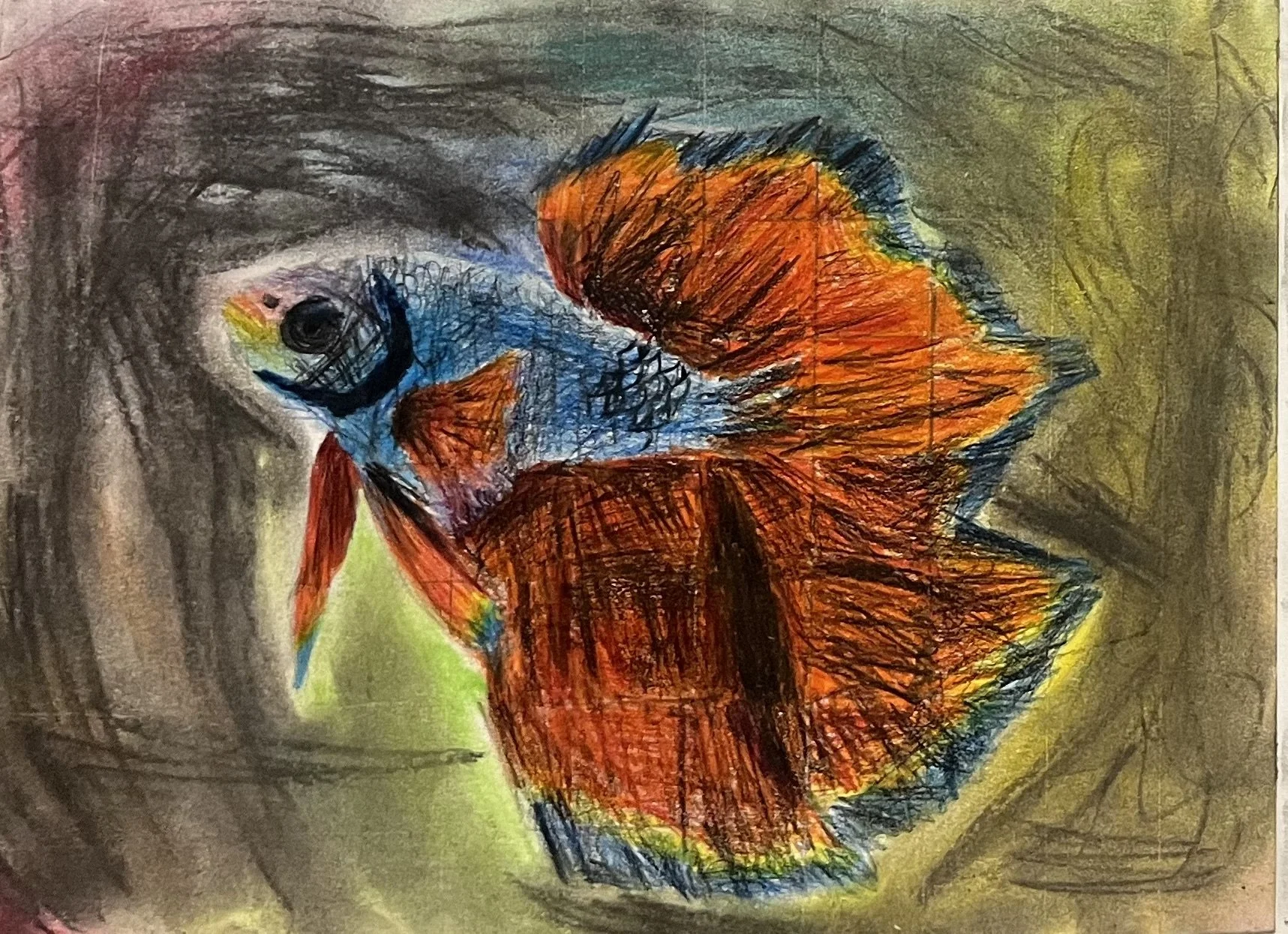 FullSizeRender (2).jpeg