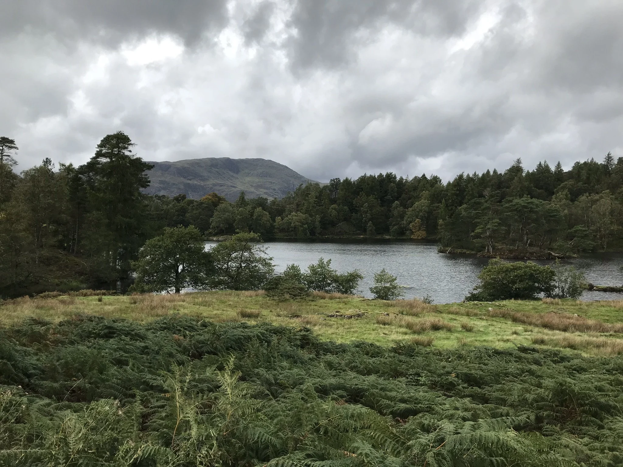 Image shows a lake, trees and mountain in the background