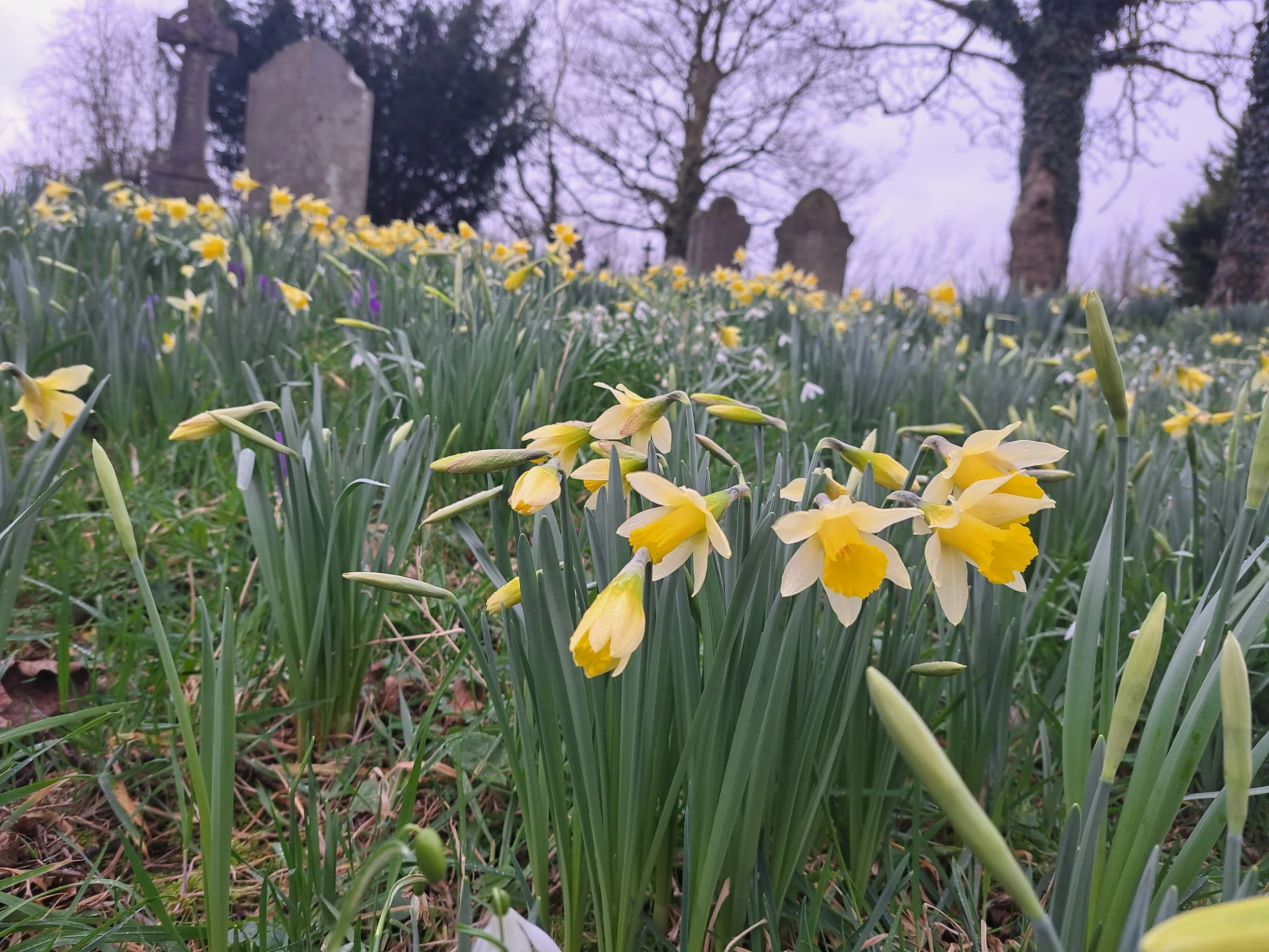 Mindfulness in Nature