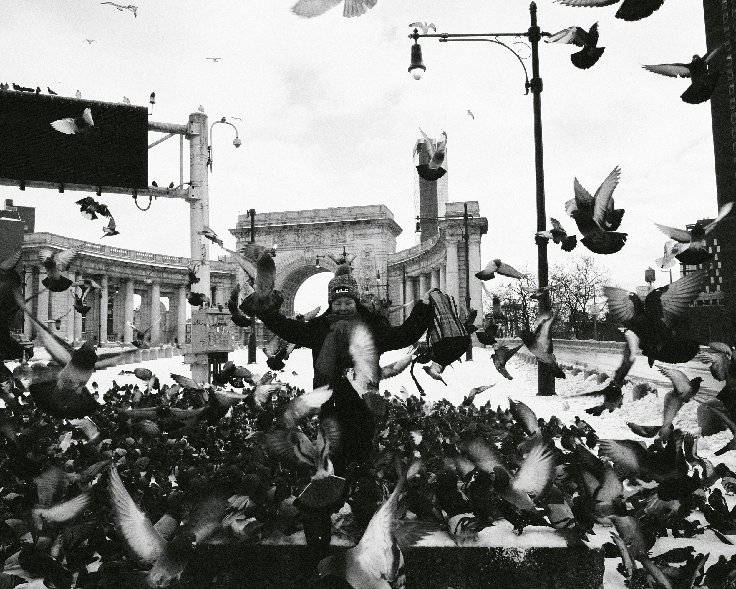 L1004569.jpg