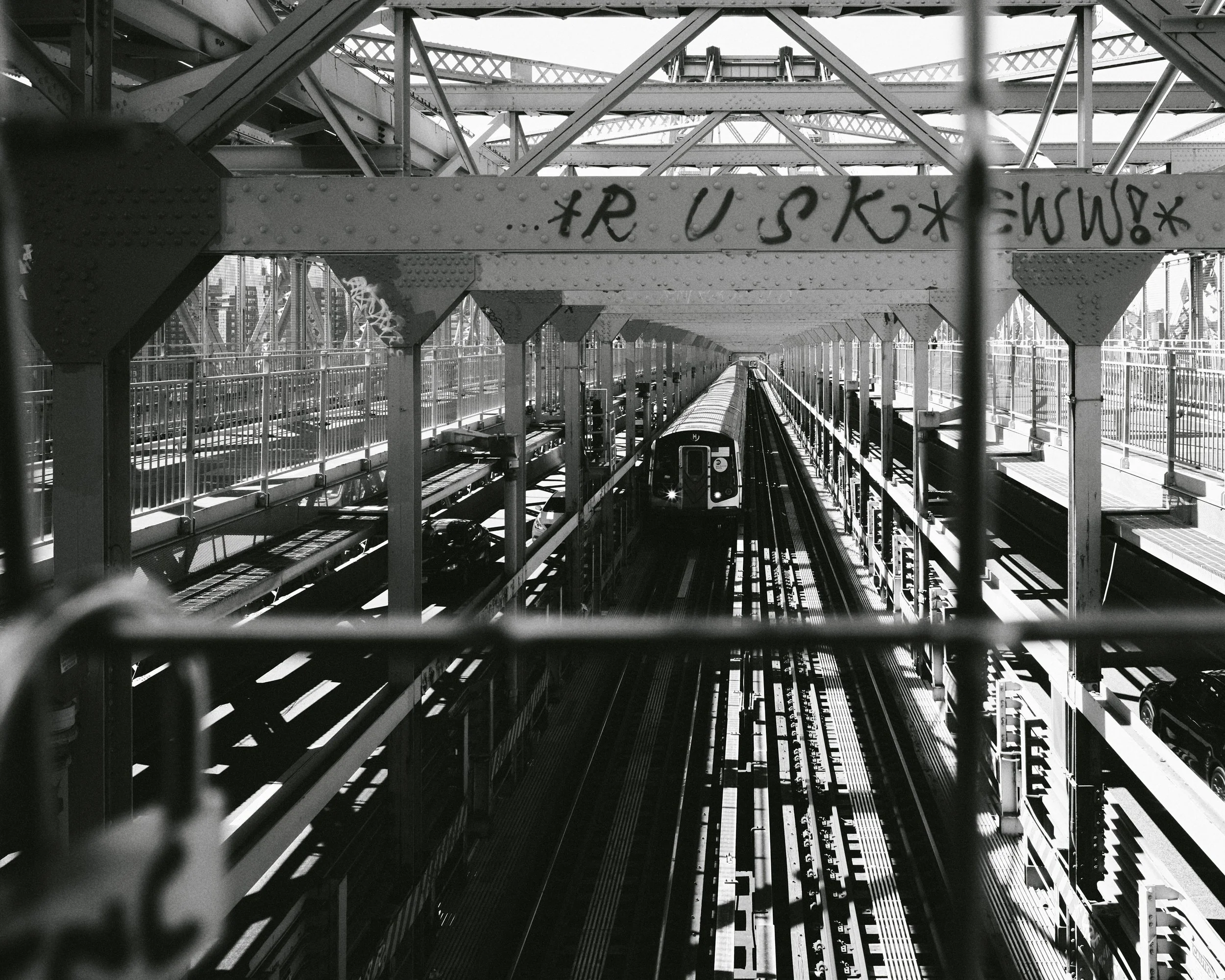 L1008783.jpg