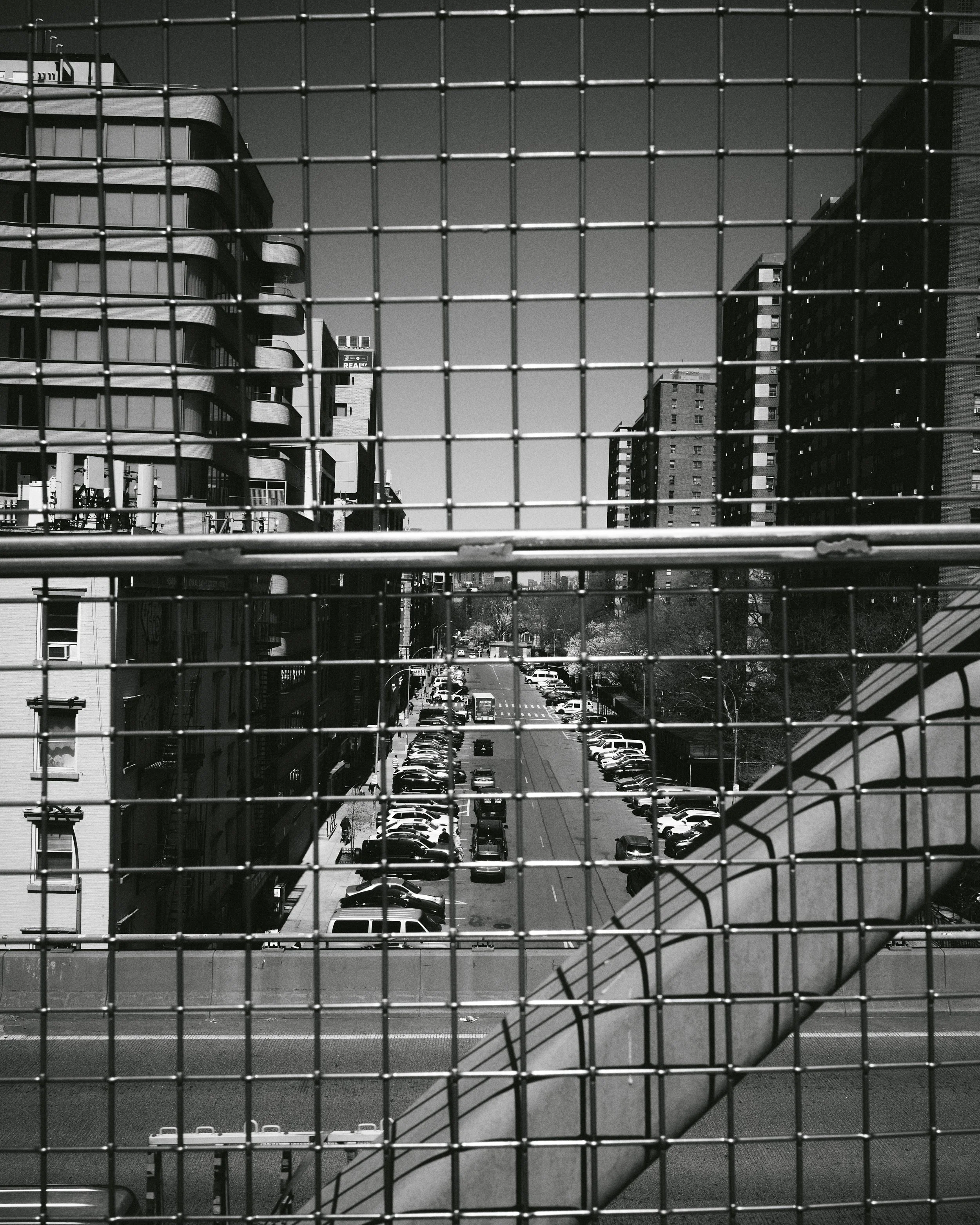 L1008763.jpg