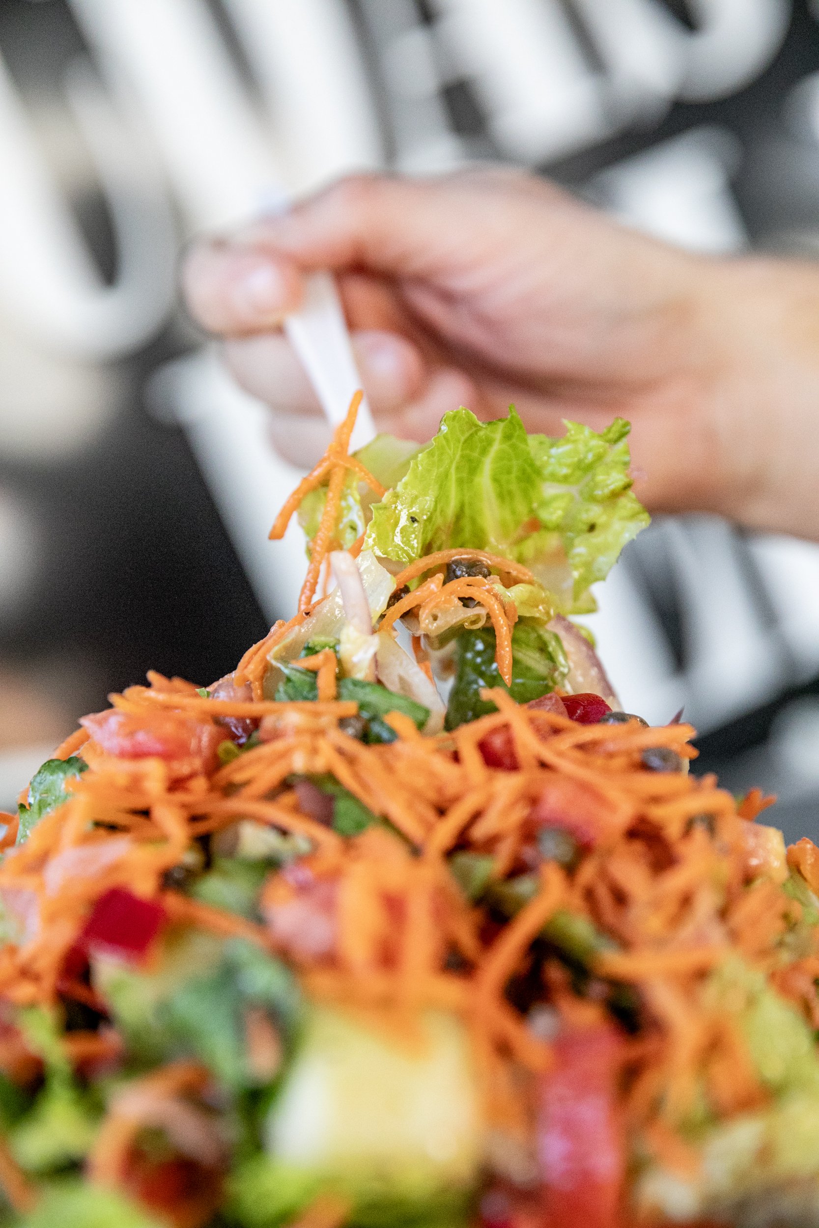 Vegetarian and Vegan Lunch Options in Santa Barbara