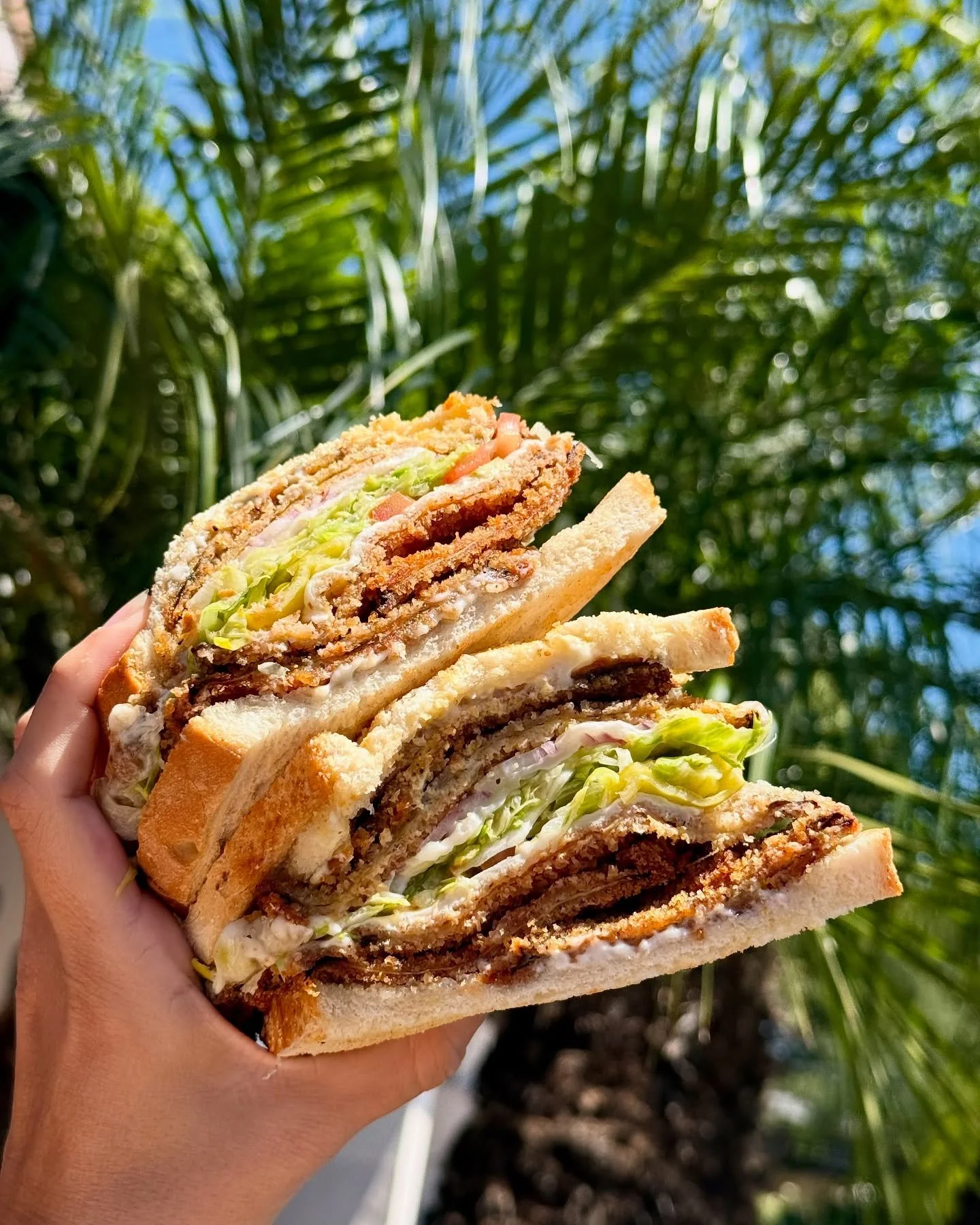 Where are you taking the Eggplant Sammie?