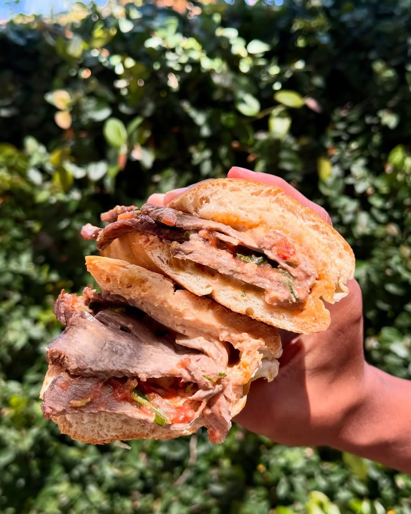 The Tri-Tip &amp; Salsa: sliced house roasted tri-tip w/ our own chipotle mayo, and SCD salsa