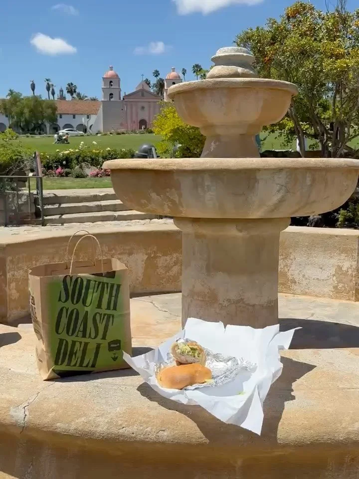 Where&rsquo;s the picnic today?! Bring us with you! 

#santabarbaraliving #picnic #lunch