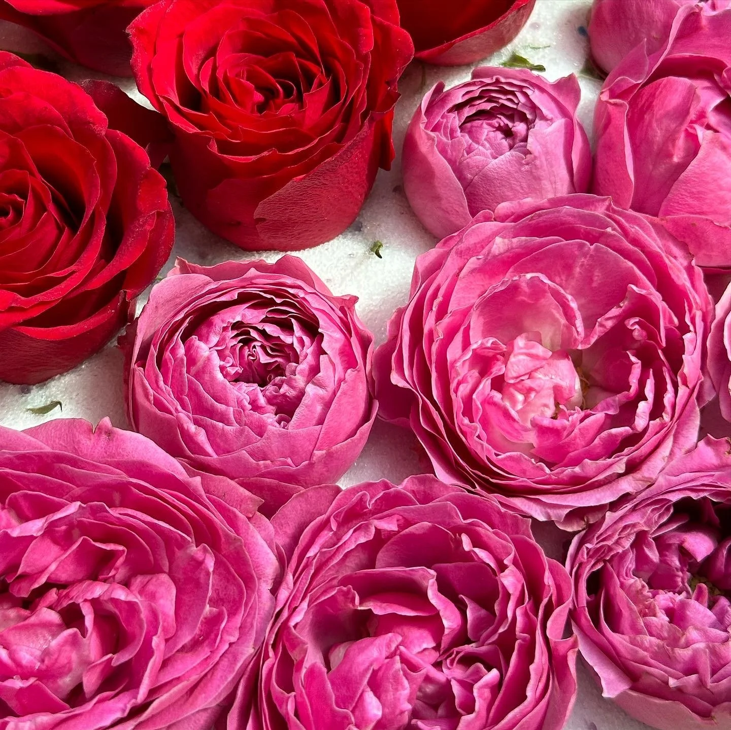 Why Should I Preserve My Wedding Flowers?