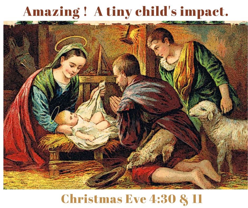 Classic nativity scene with Mary, Joseph, baby Jesus, a lamb, and a horse, depicting the birth of Jesus.