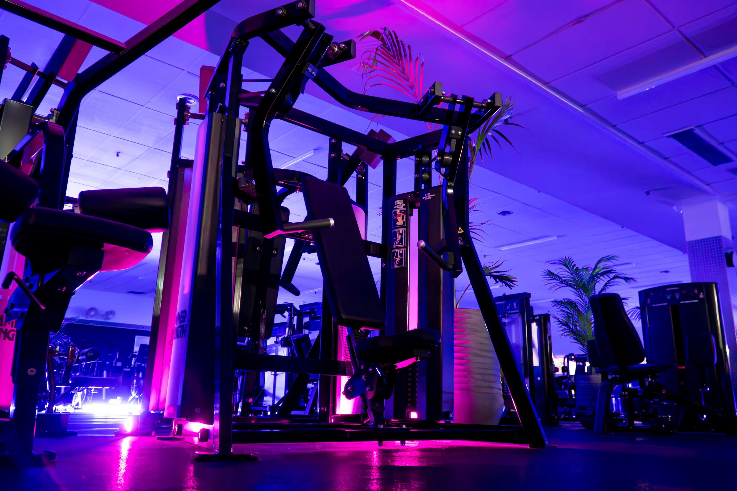 Boxing and Kickboxing Classes St Augustine | Amp Hardcore Gym Olympic gym & fitness center