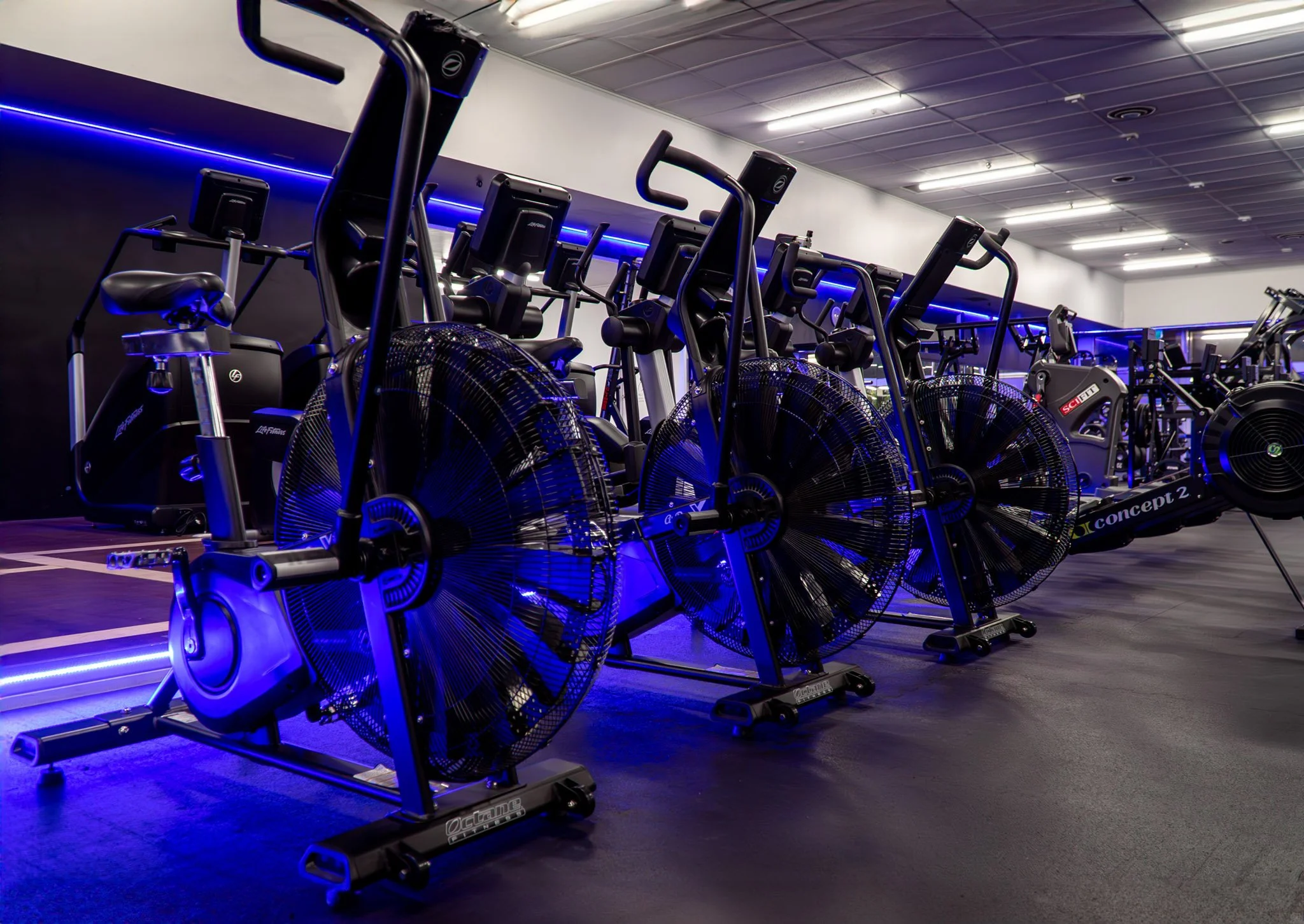 Membership Pricing — Olympic Gym