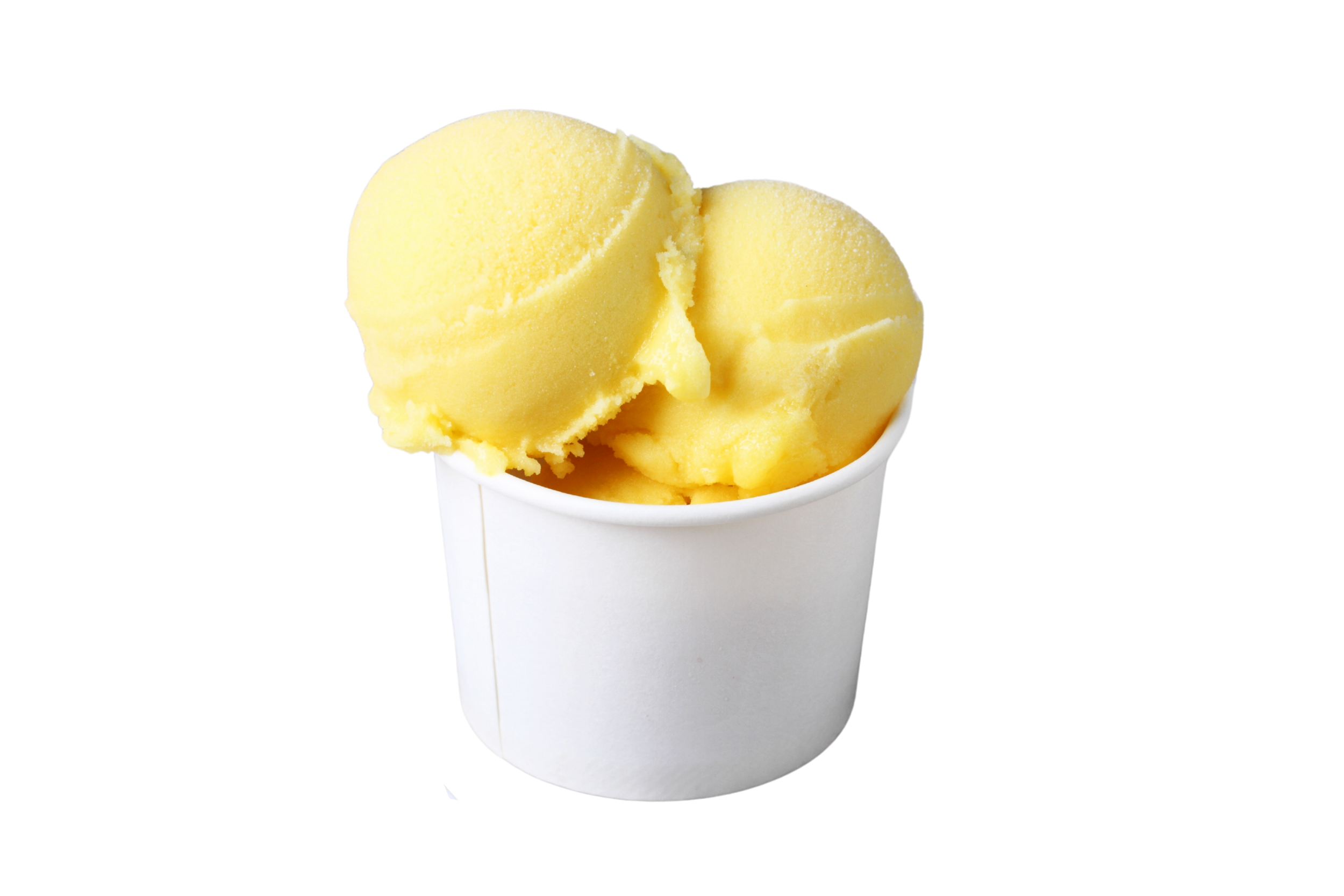 Non-dairy ice cream in Tampa