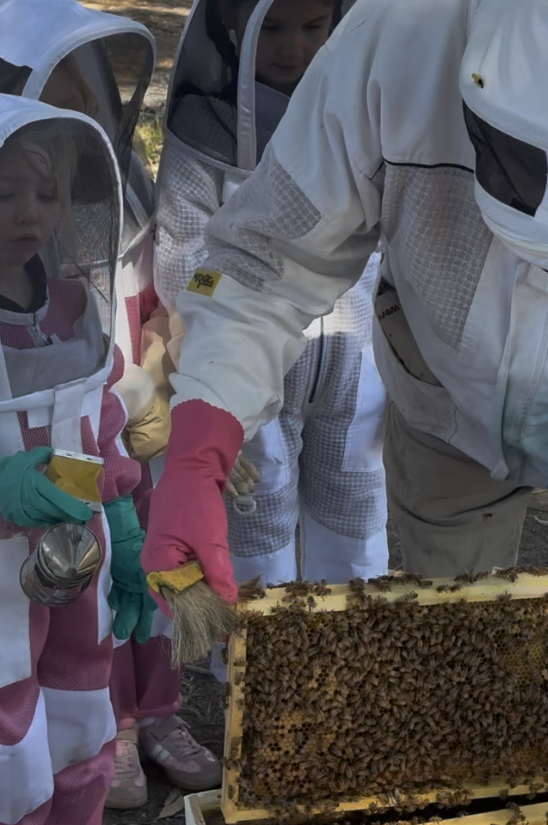 Screenshot 2025-12-08 at 3.23.08 pm.png