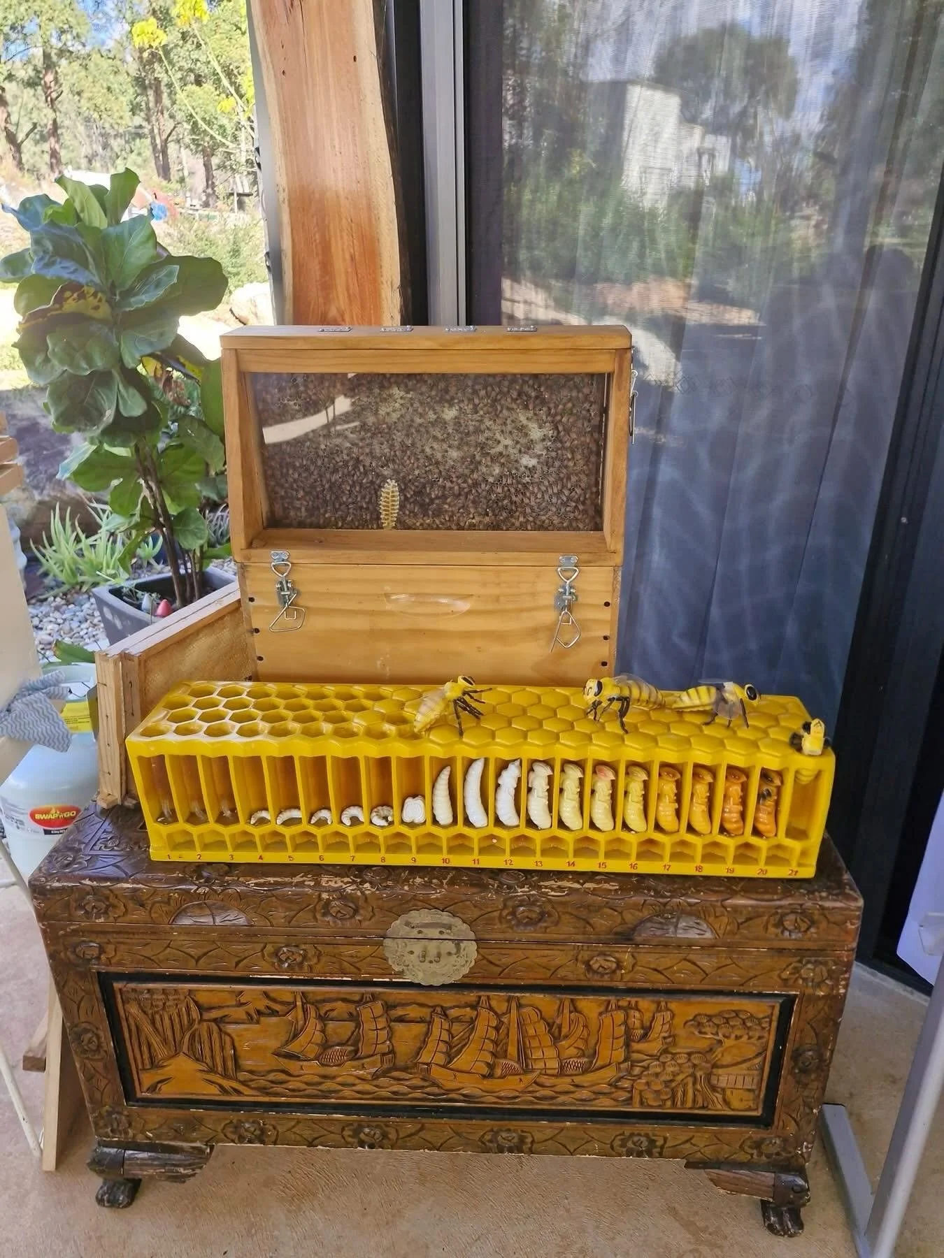 beeday-3.jpg