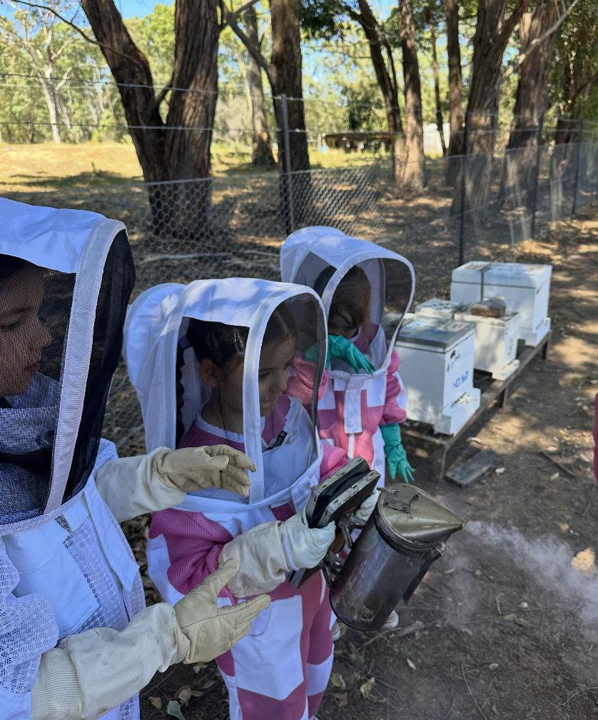 Screenshot 2025-12-08 at 3.22.56 pm.png