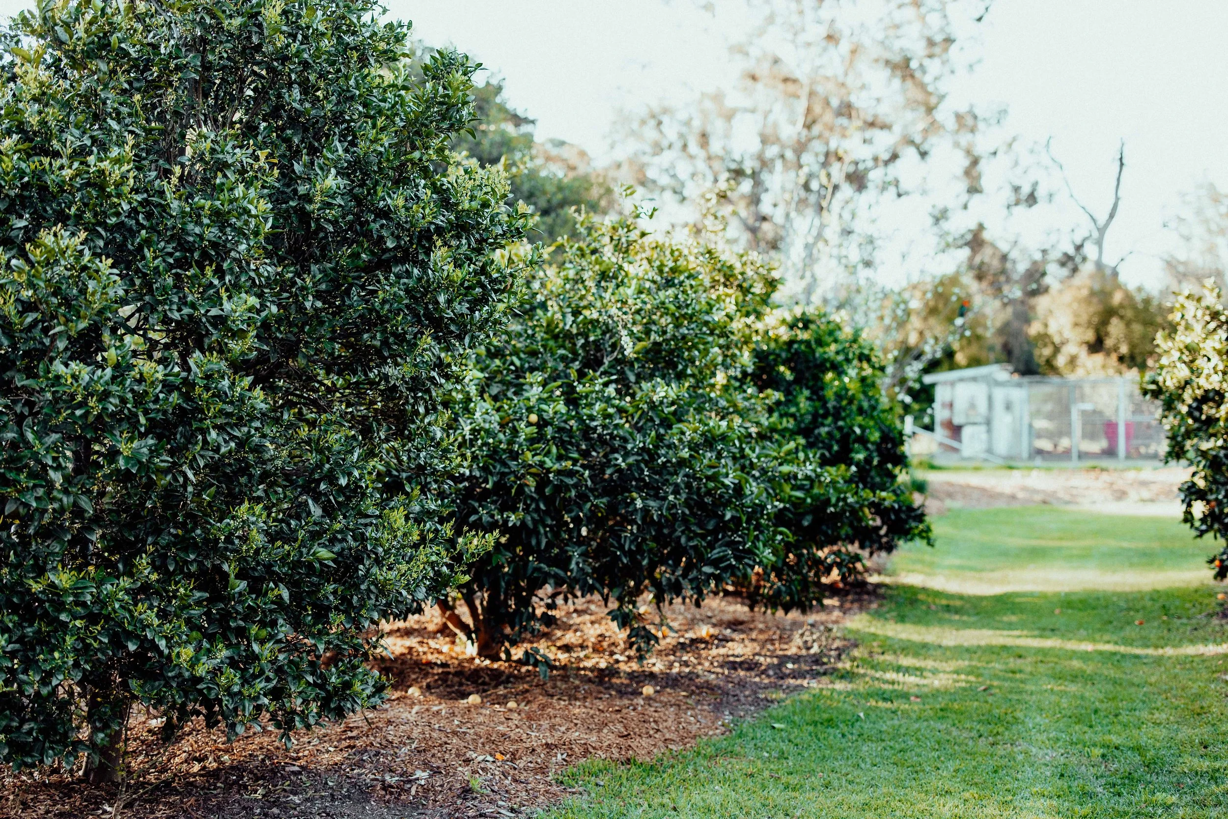 What Slowing Down Has Taught Us