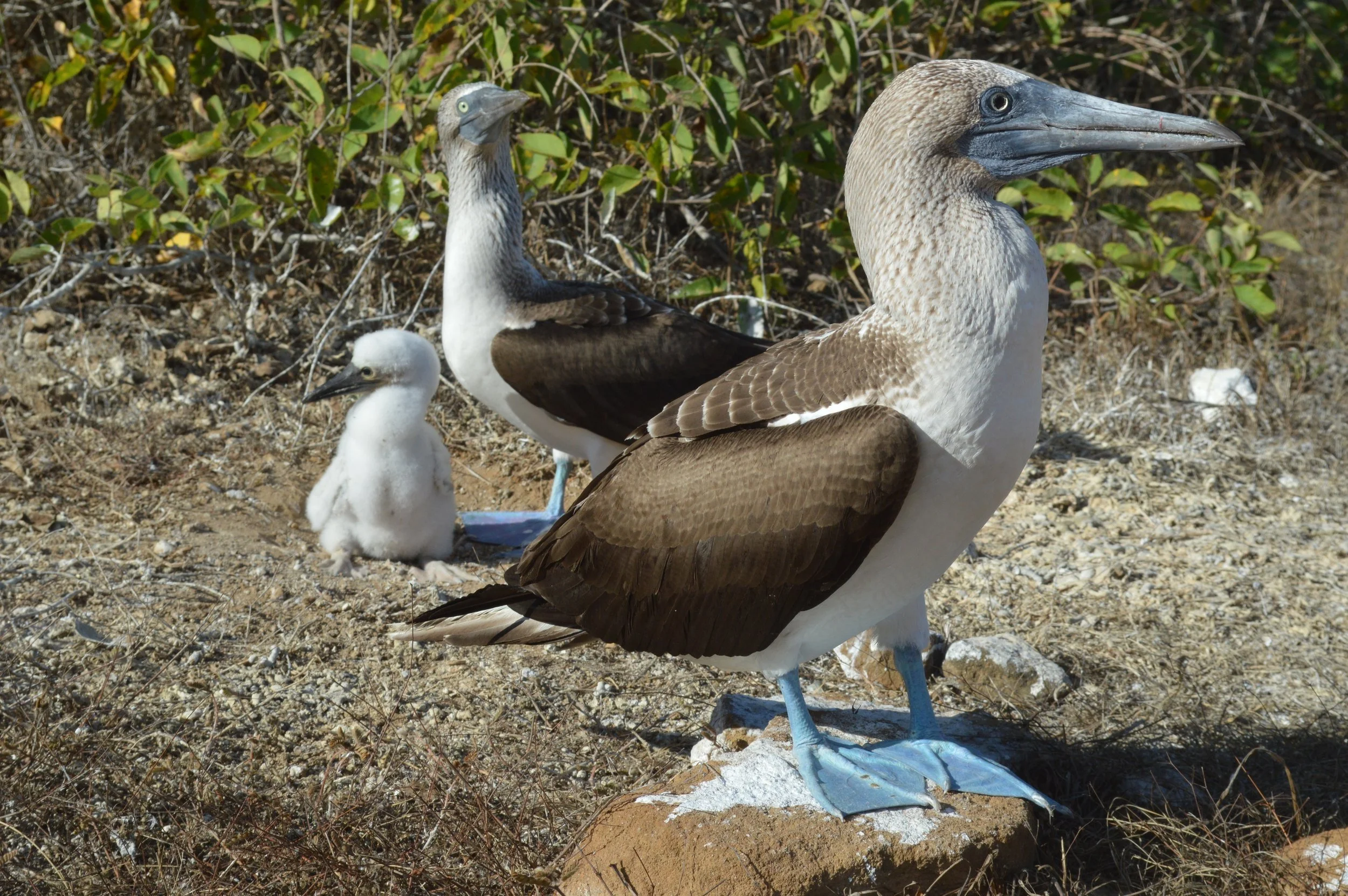 DSC_0323.jpg