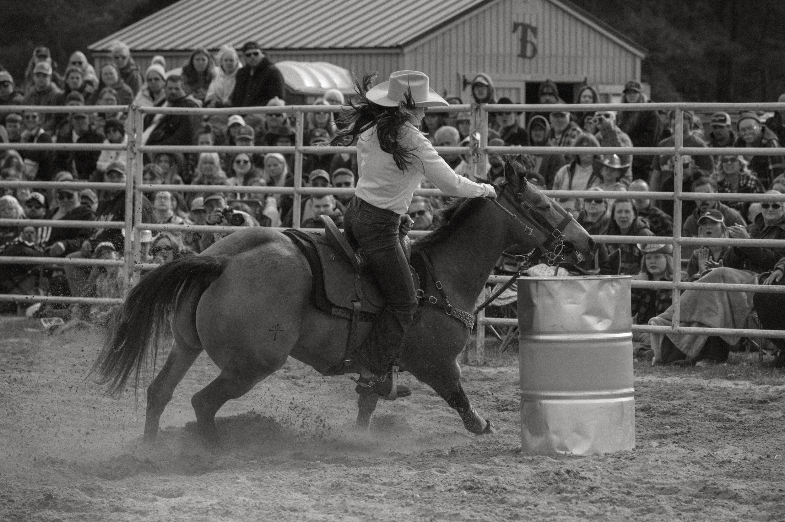 triple d rodeo tara snyder studio photography barrel racer.jpg