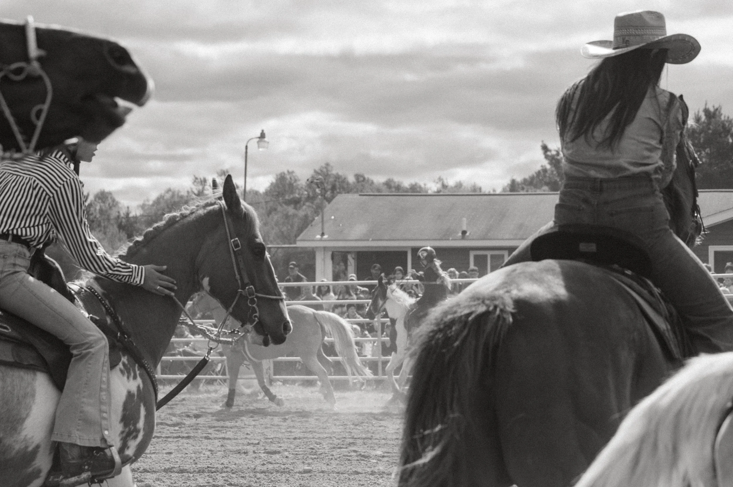 rodeo-31.jpg