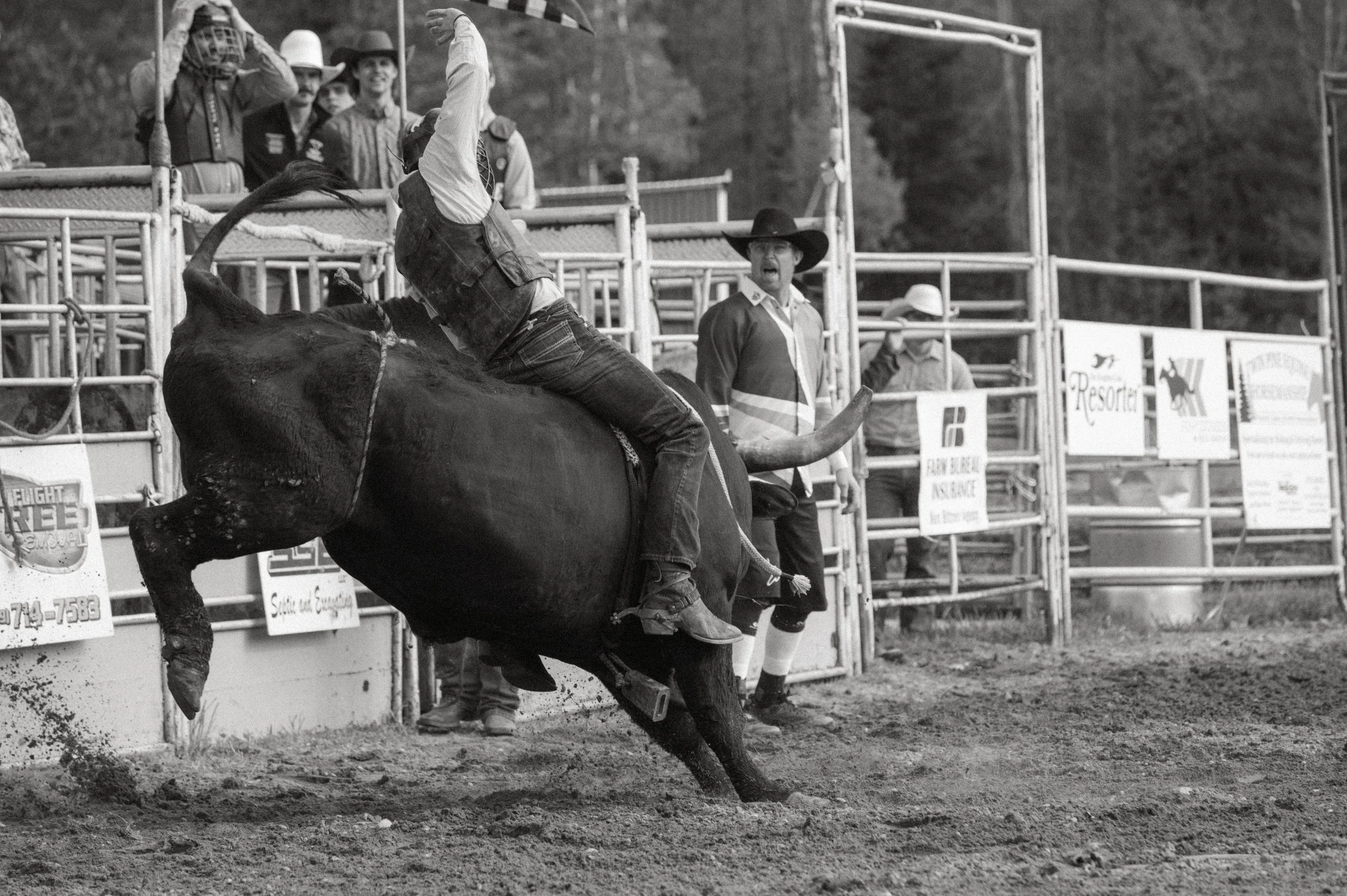 triple d rodeo tara snyder studio photography bull rider.jpg
