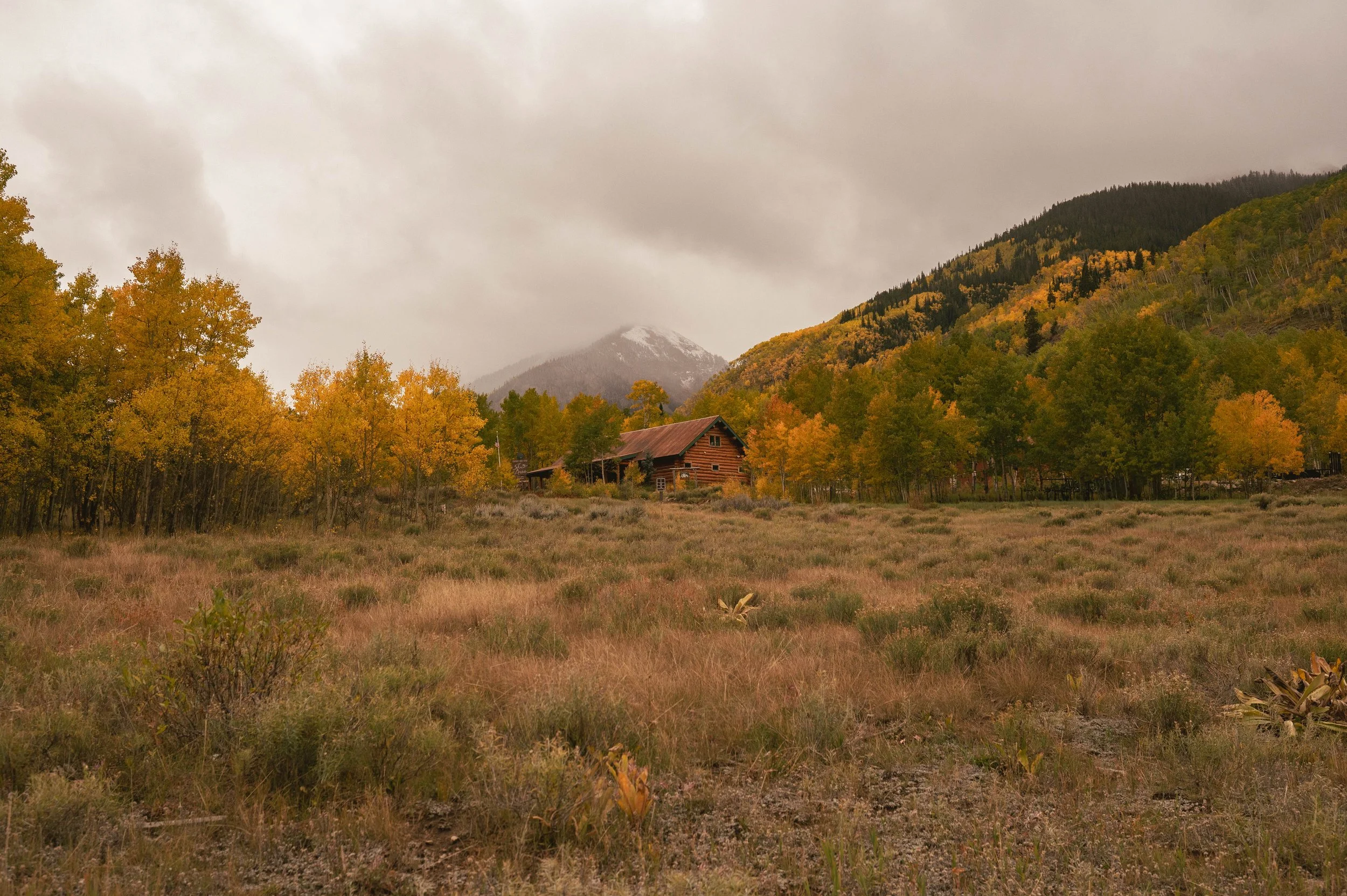 Aspen, Colorado Landscape photo by Tara Snyder Studio a Northern Michigan Photographer