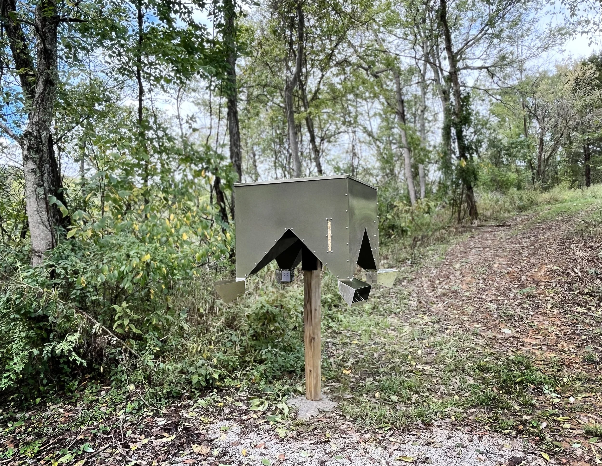 Feeder in woods