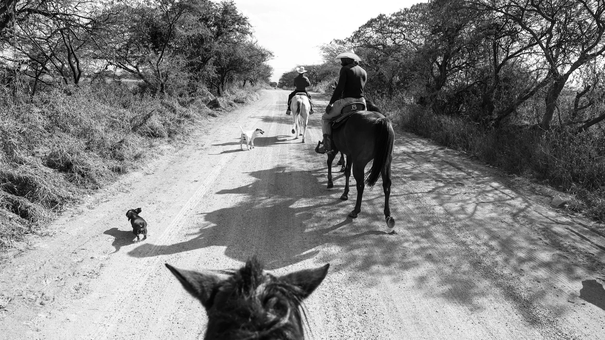 Queretaro, Mexico 2025
