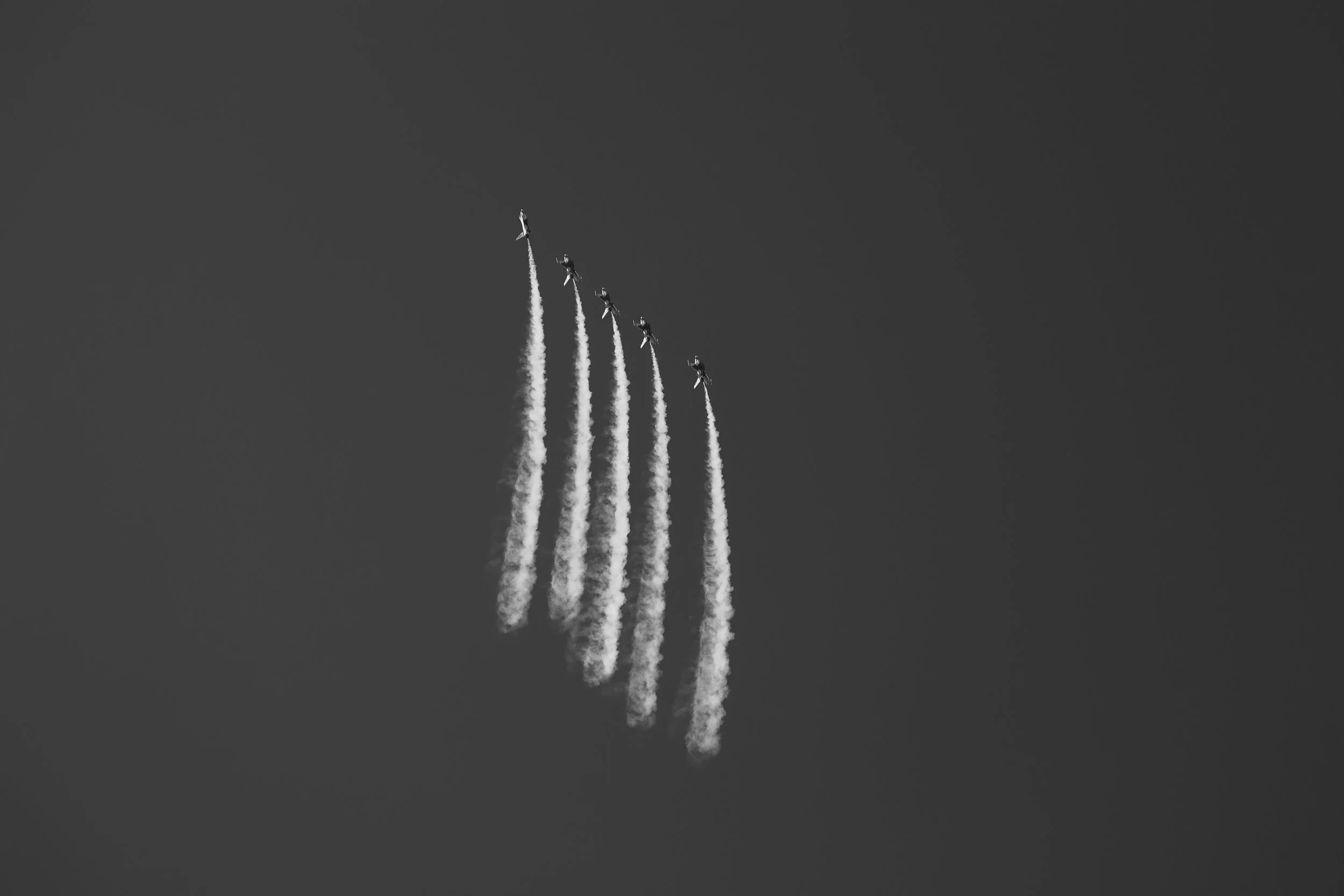 241A2865.jpg