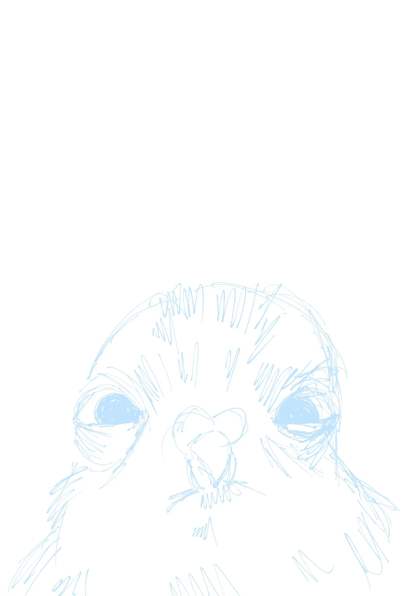 bird2.jpg