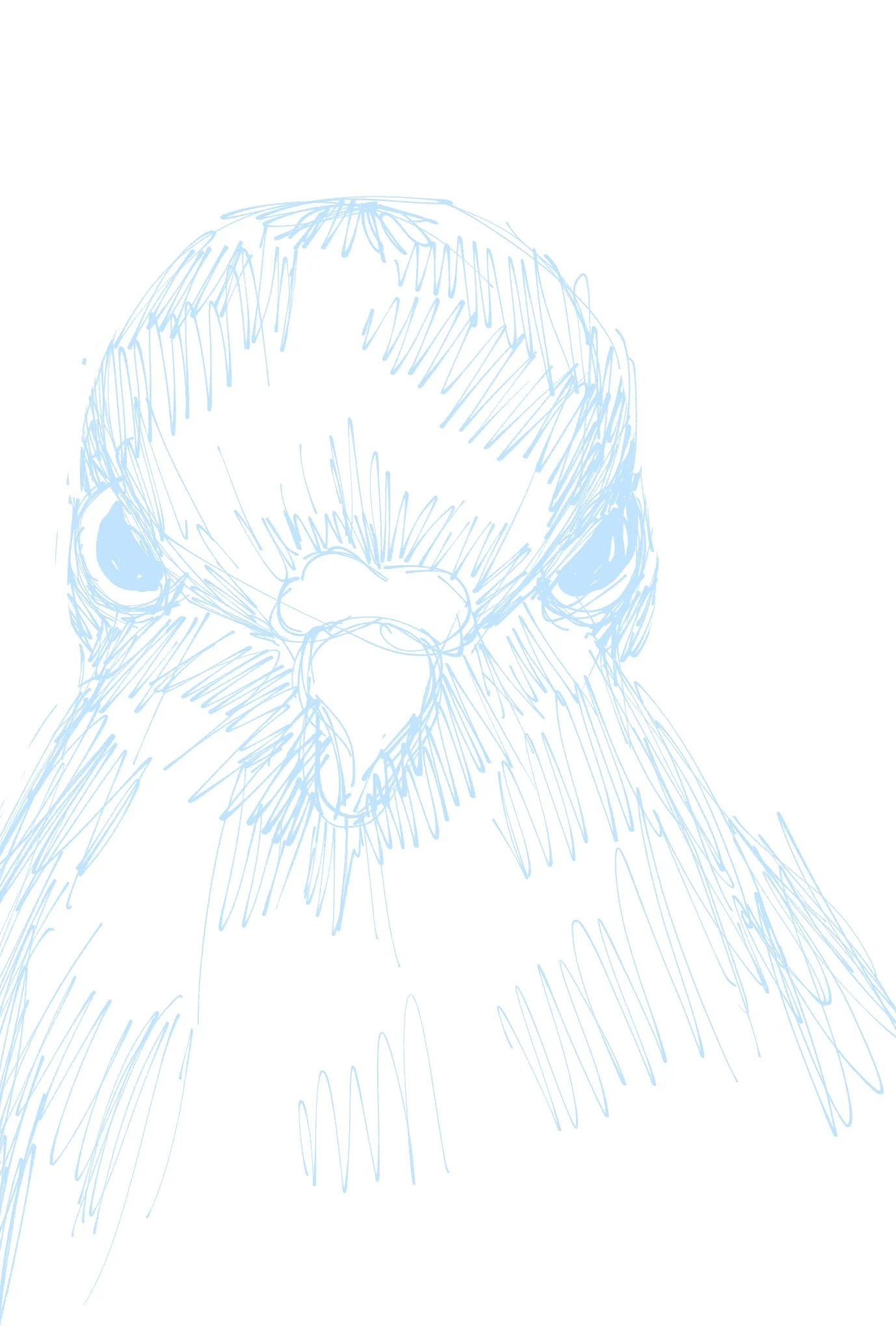 bird 9.jpg